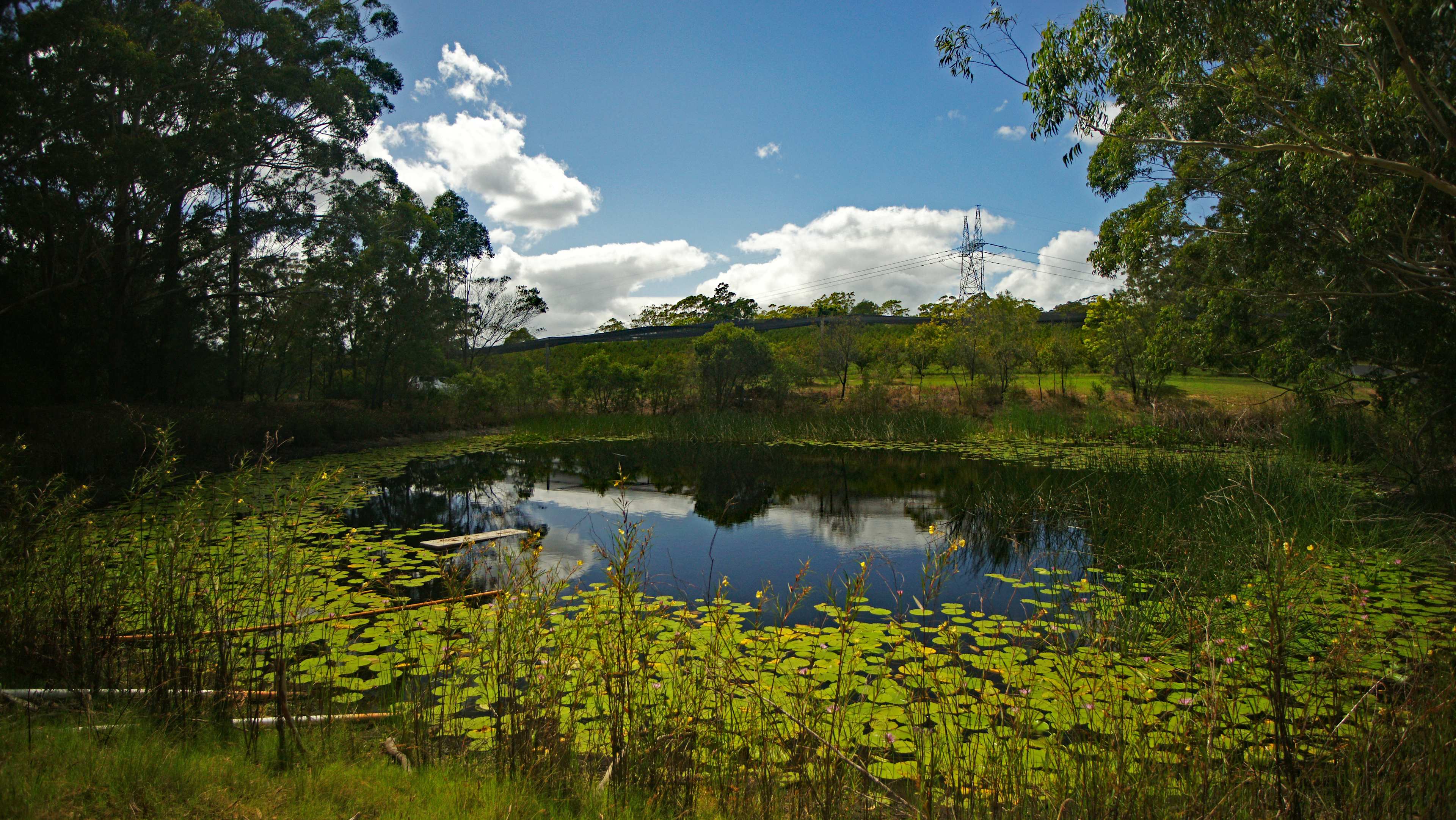 Canoelands Orchard Camping