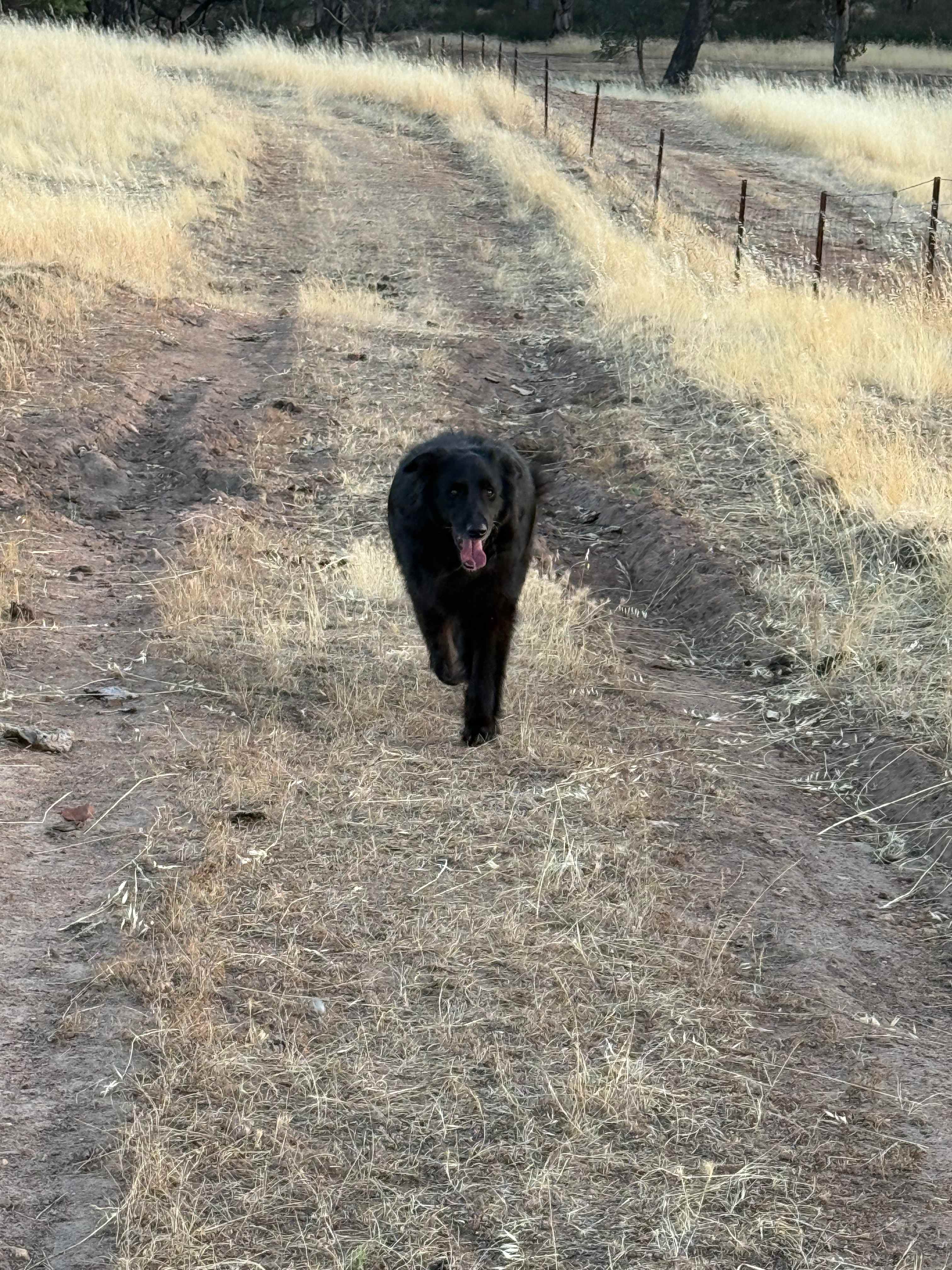 Avonbrook Wheatbelt creekside camp