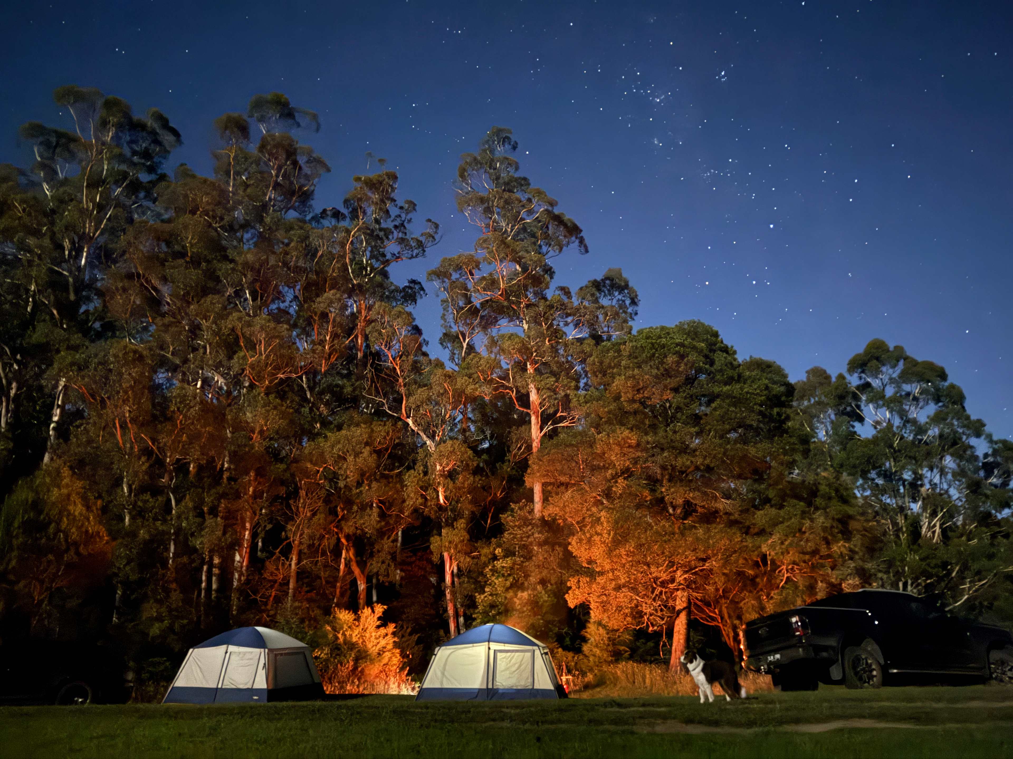 Hazelnut Valley Farm Stay