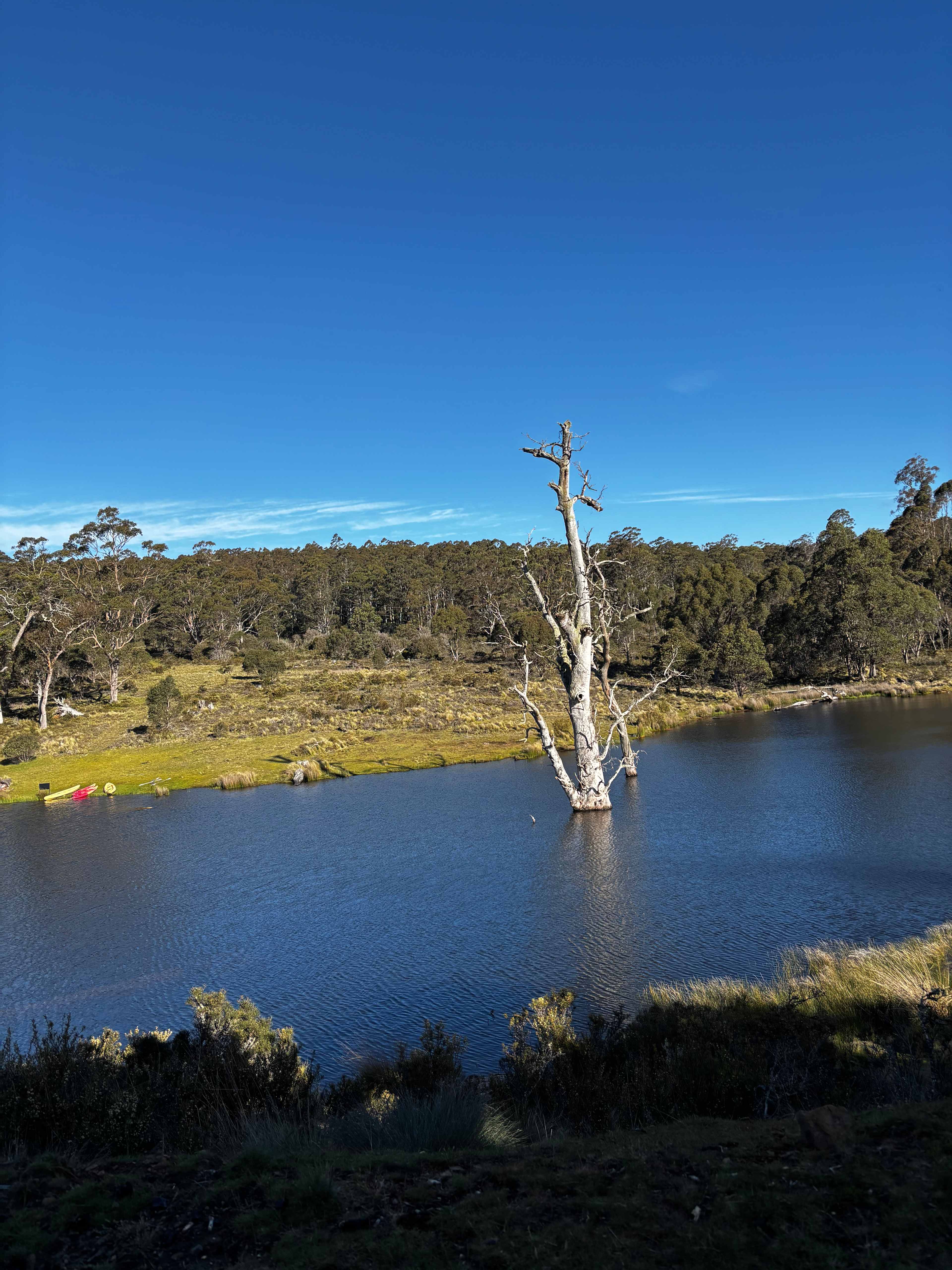 Cradle Mountain Fishery and Camping