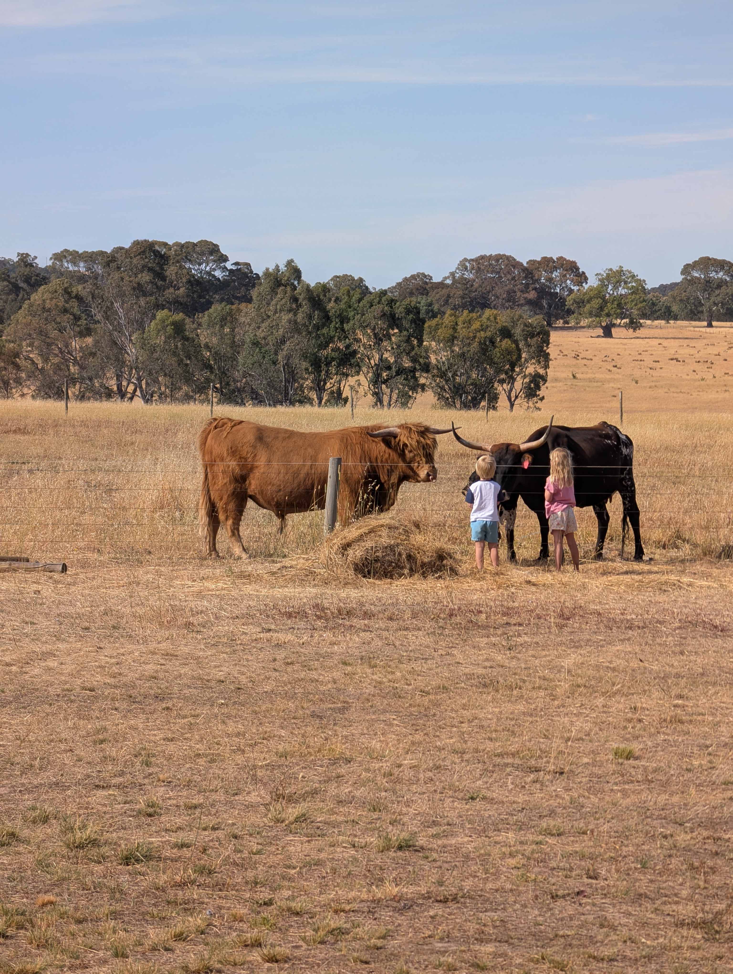 BellMill Farm - Grampians Highlands