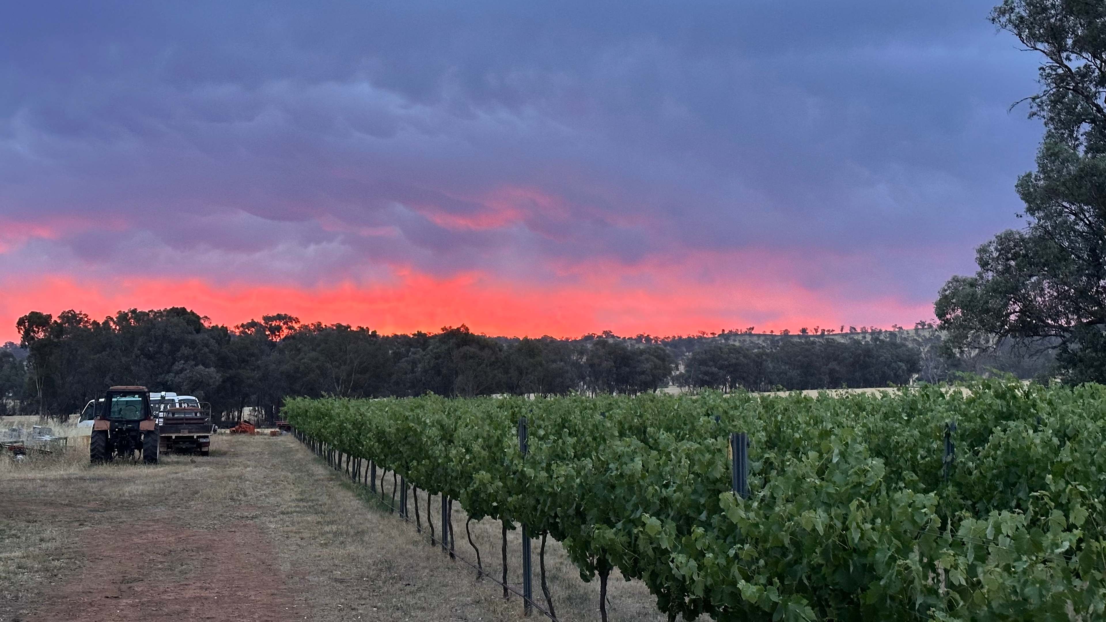 View from our camper trailer. 
