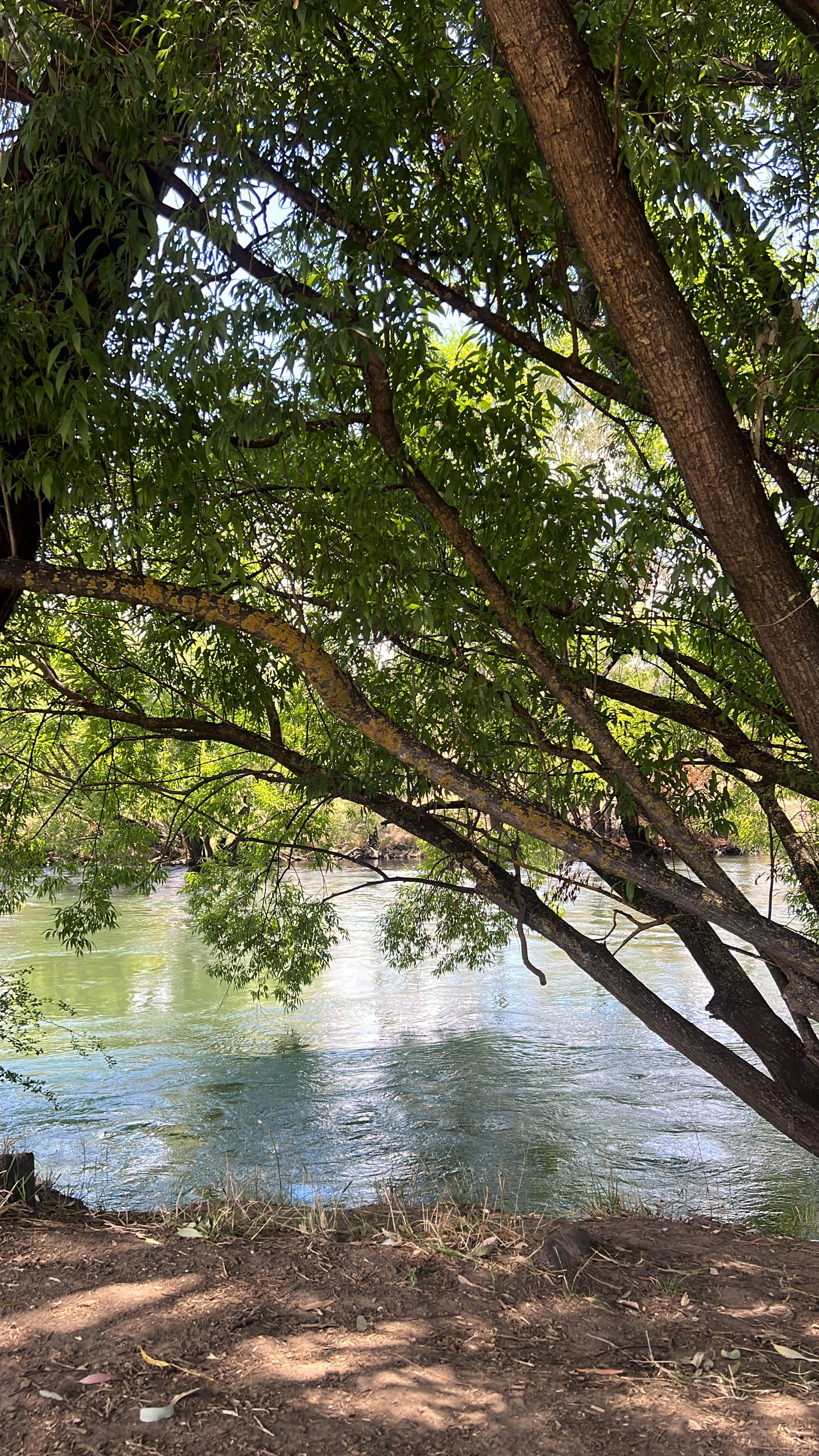 Bahwidgee on Tumut River