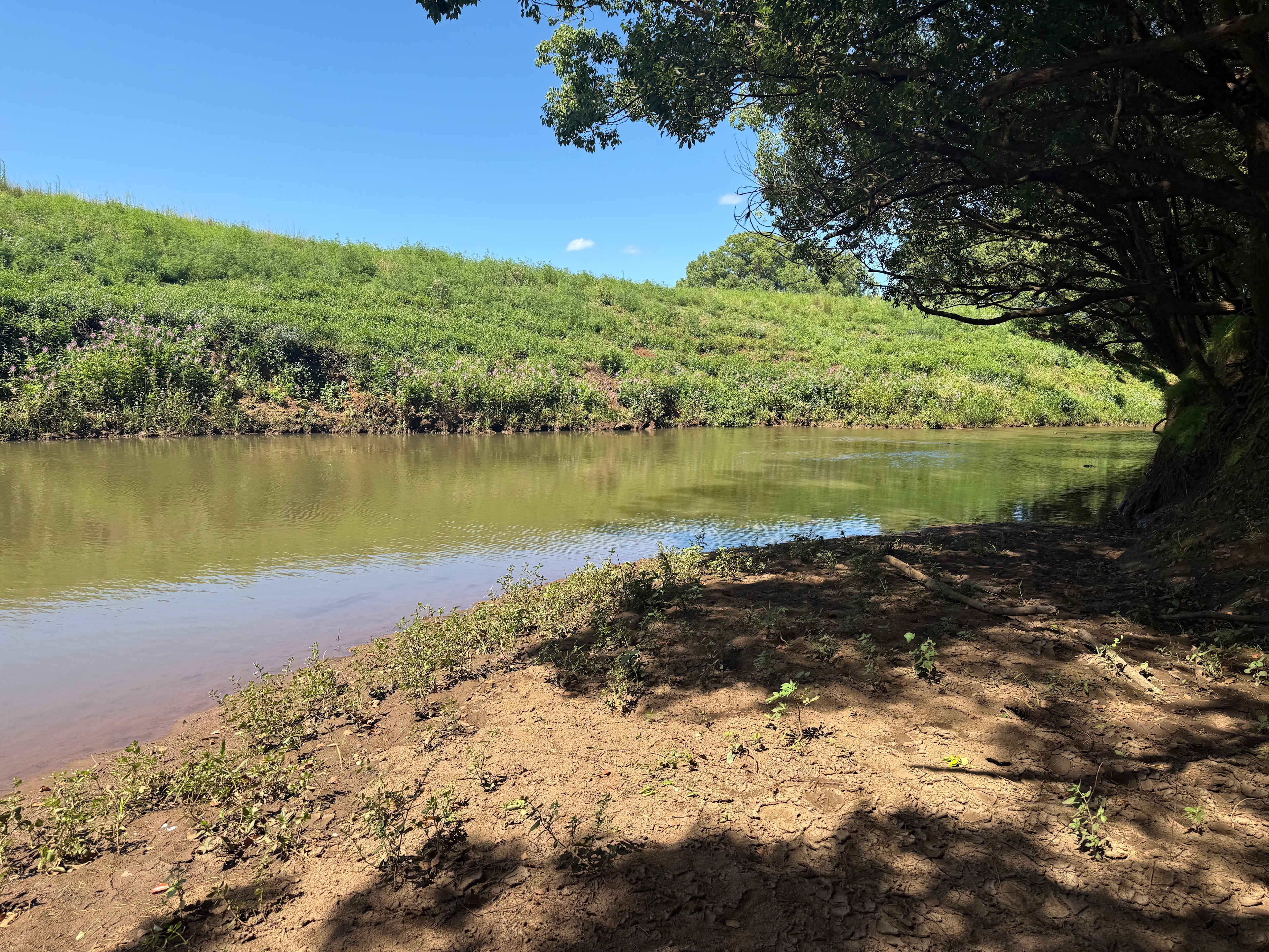 Eltham Station Farm Stay