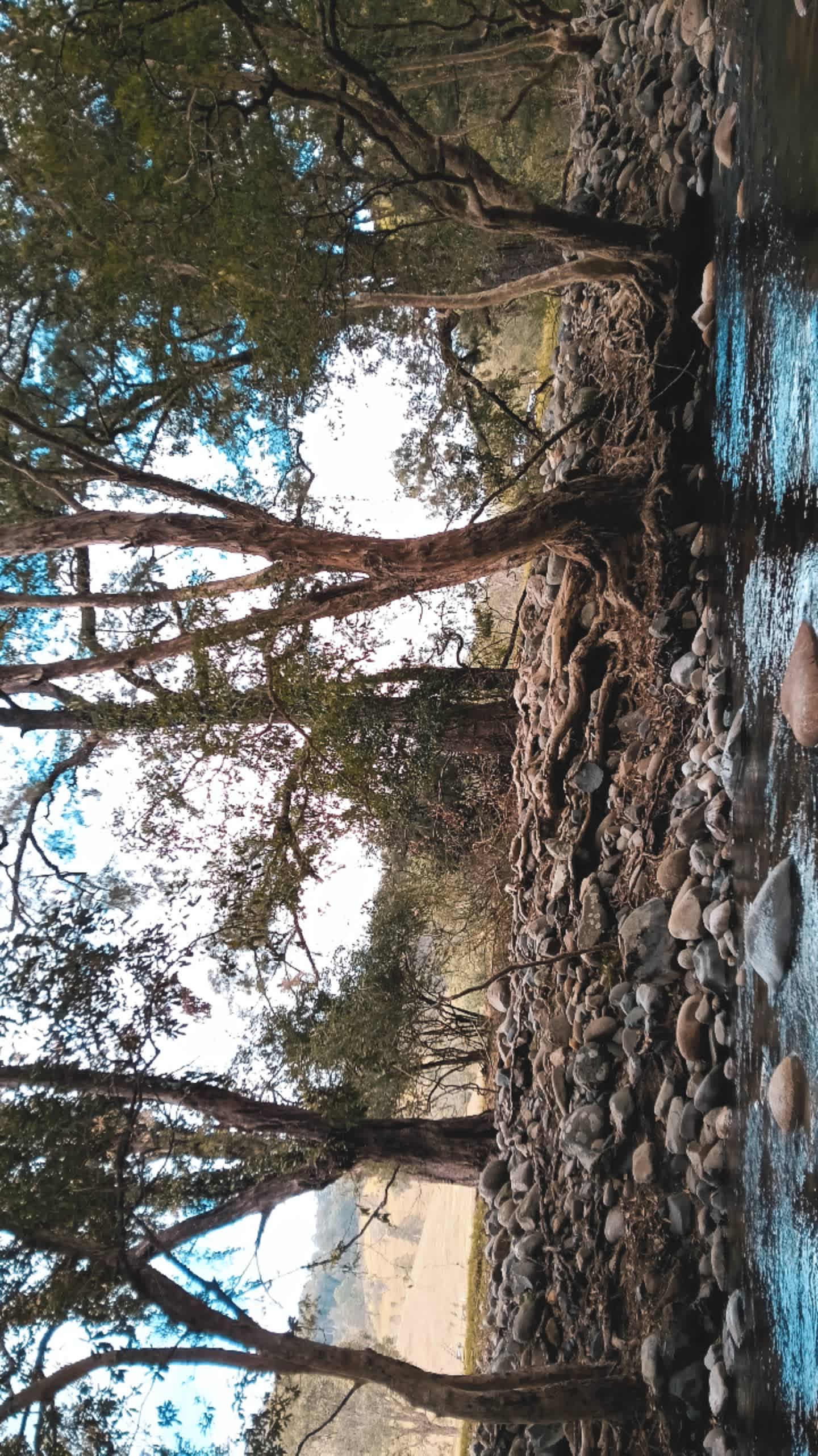 River Front Campsites