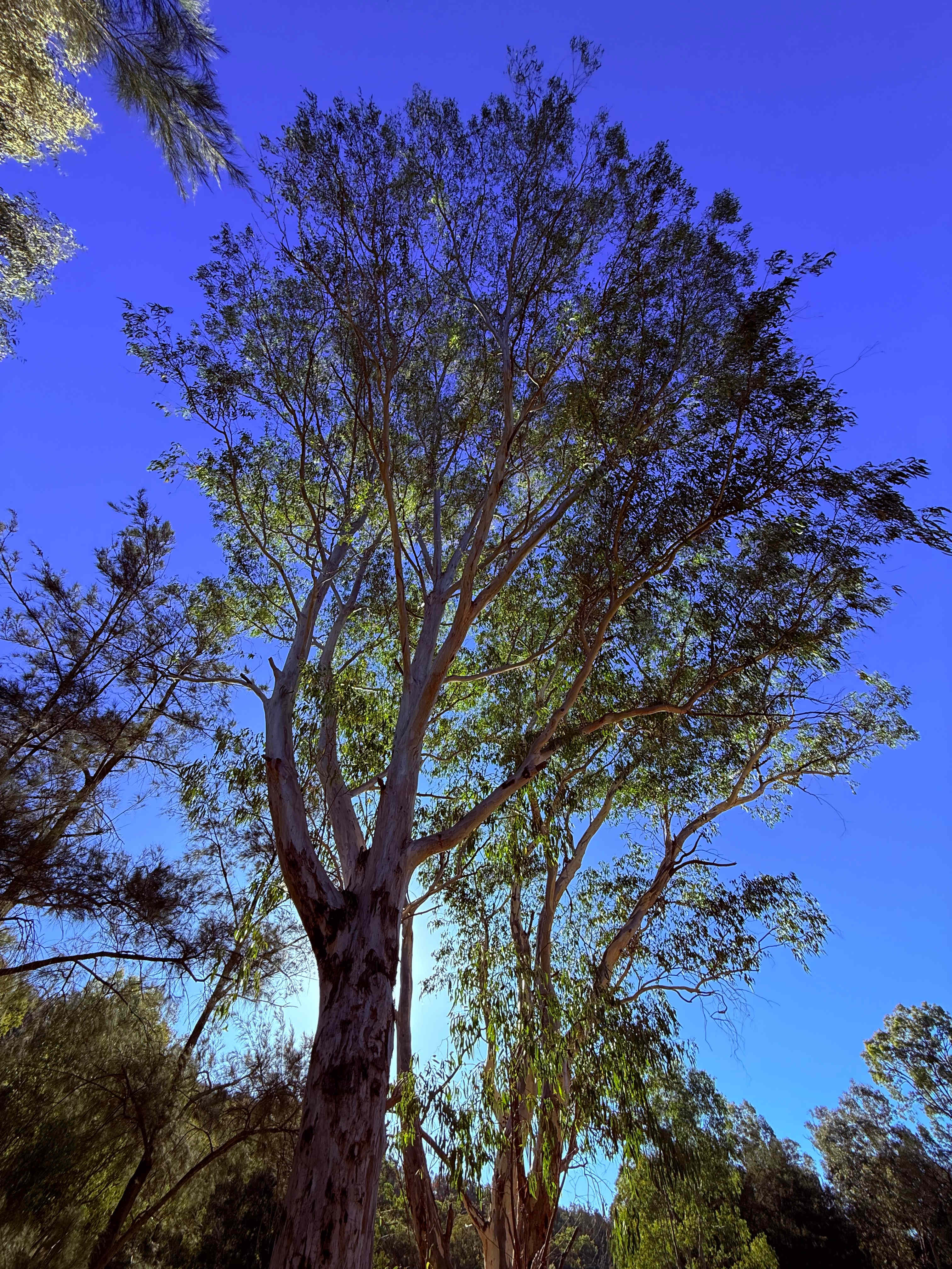 Riverside Escape Off Grid Camping