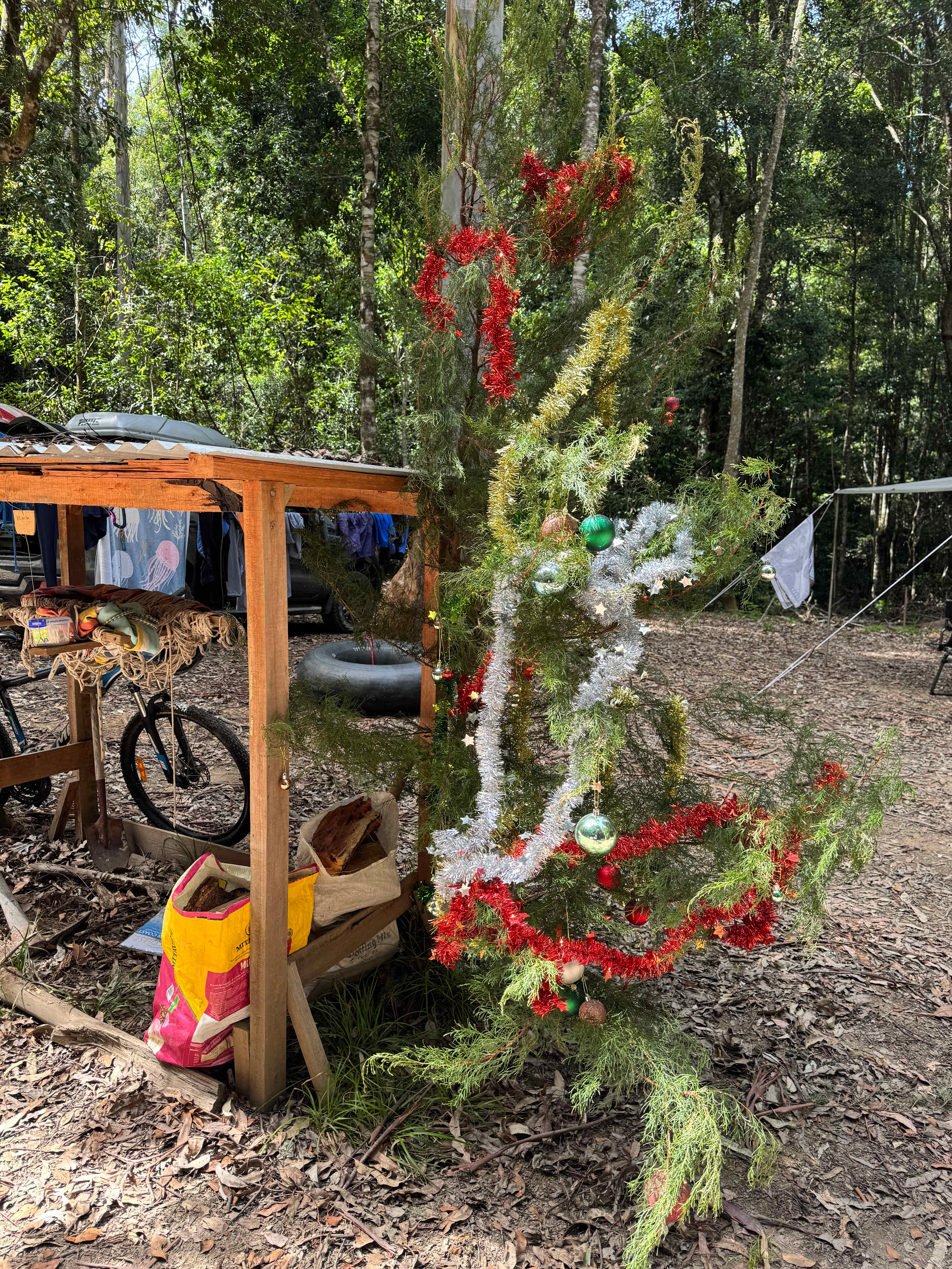 The fire wood is only 10 dollars 