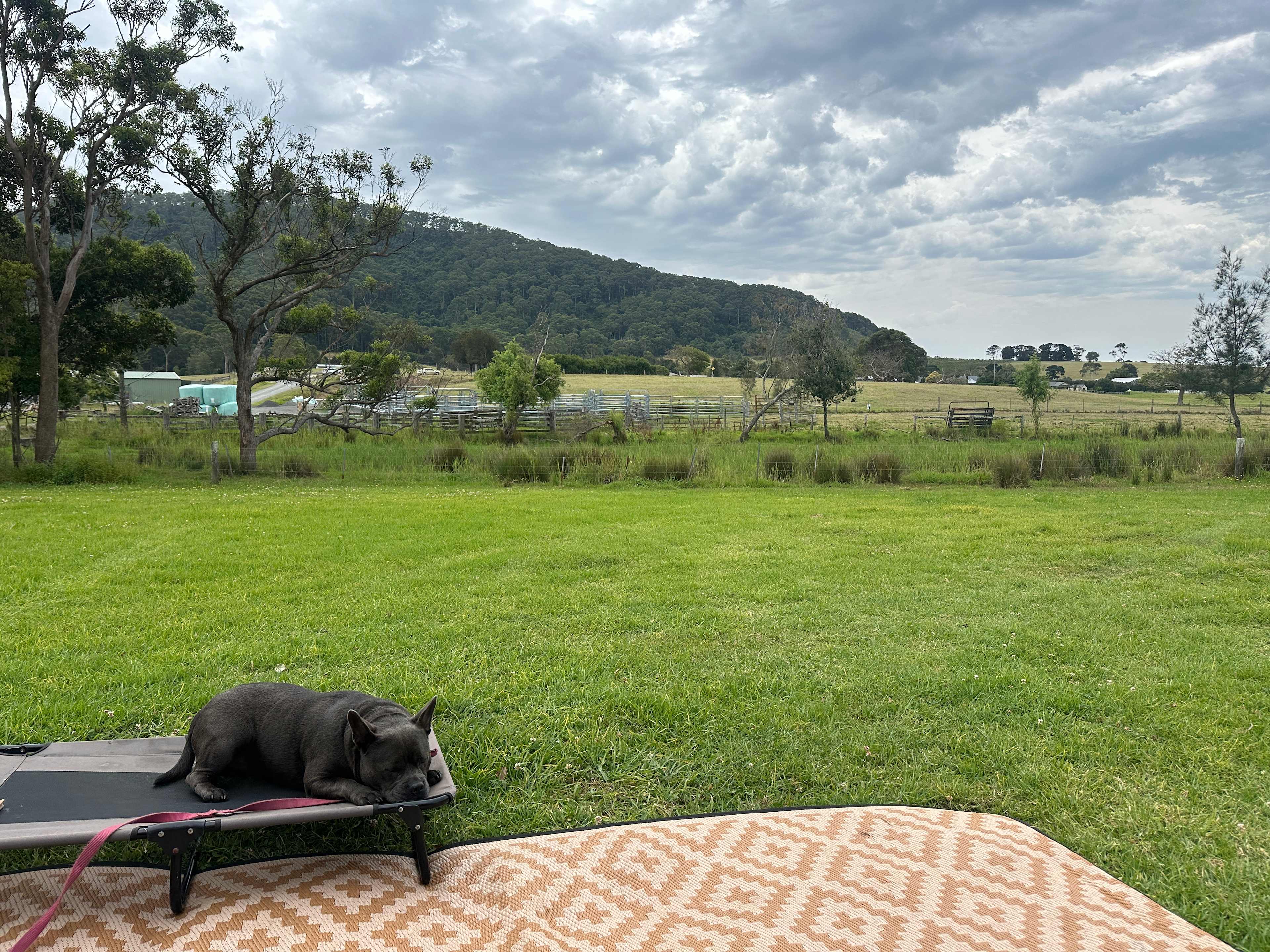 Misty Mountain Farm - Farm Stay