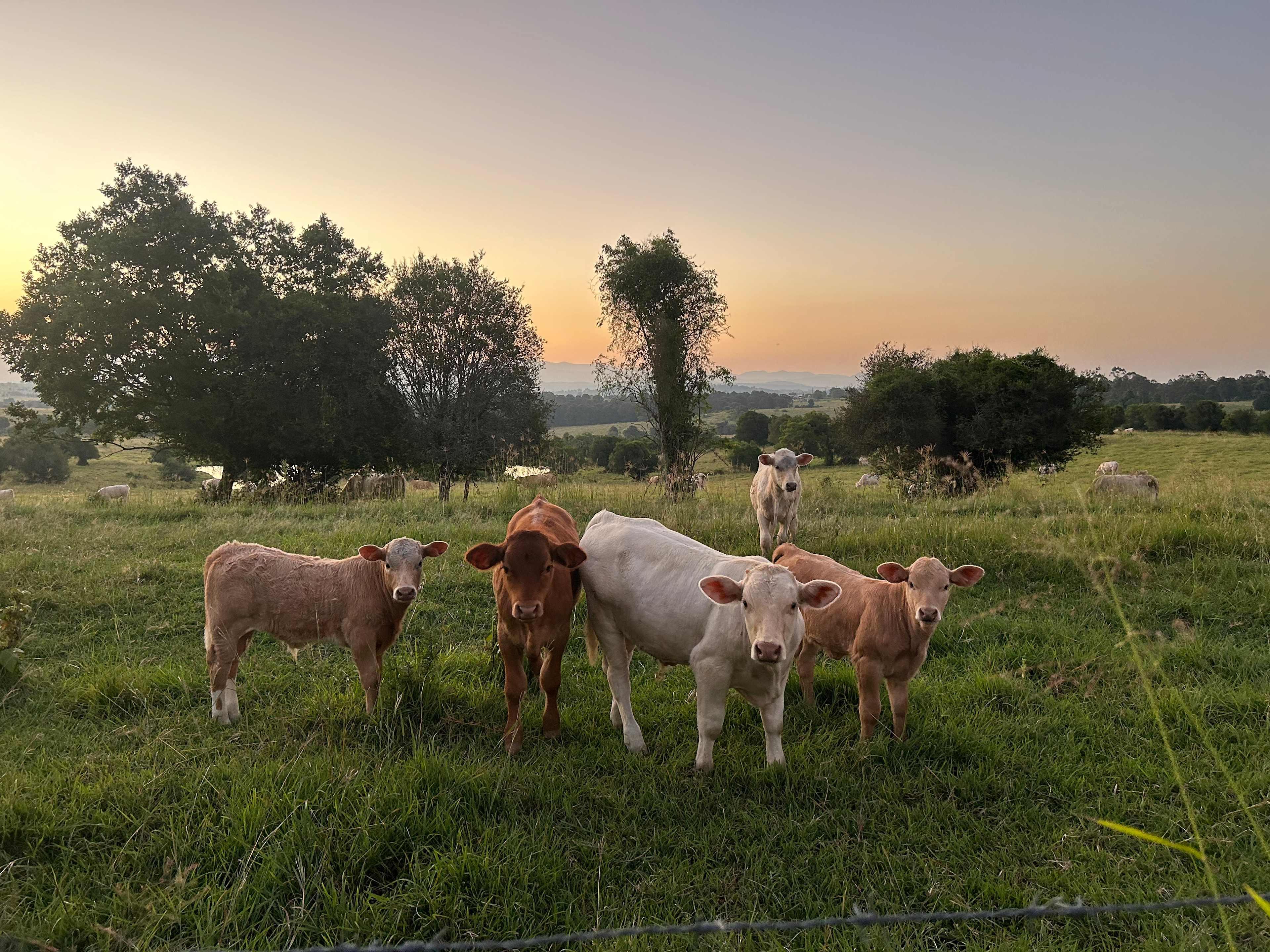 Doesn't get better than this.