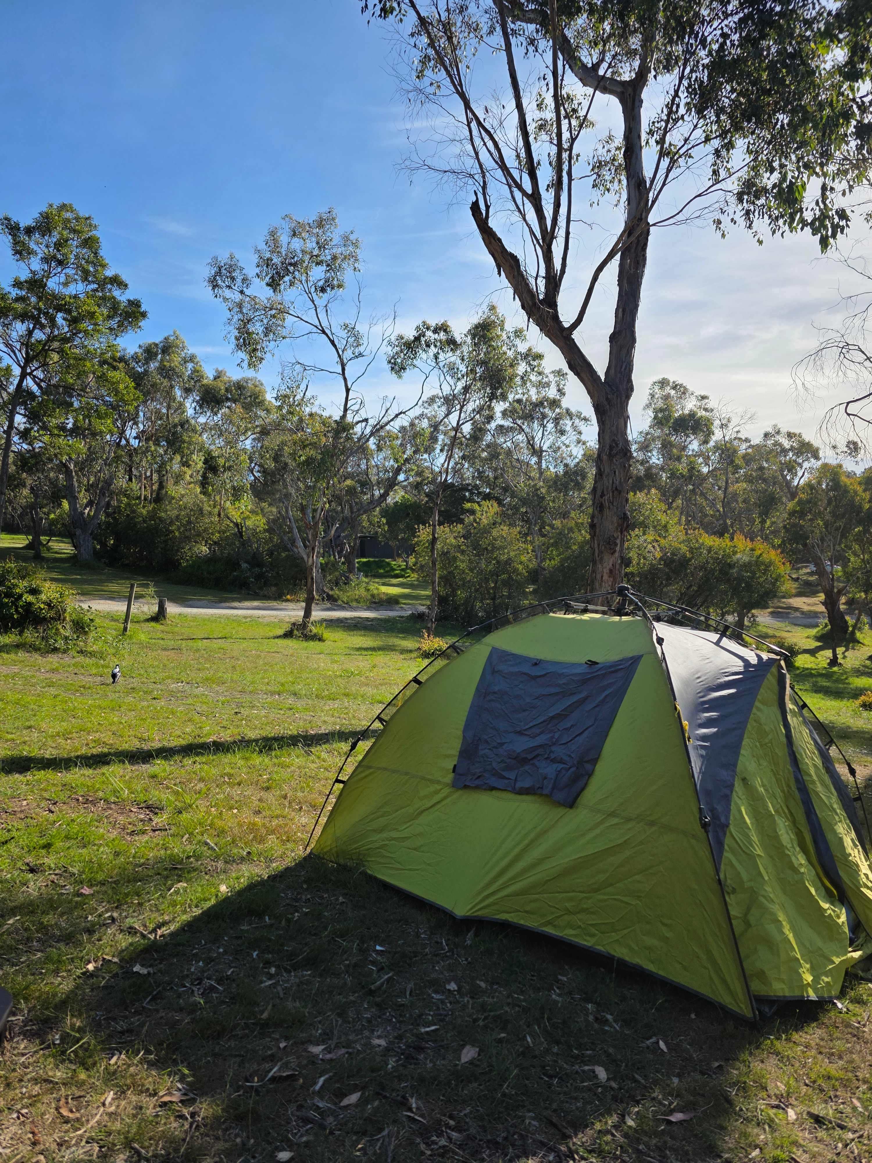 Bay Park Adventure Centre