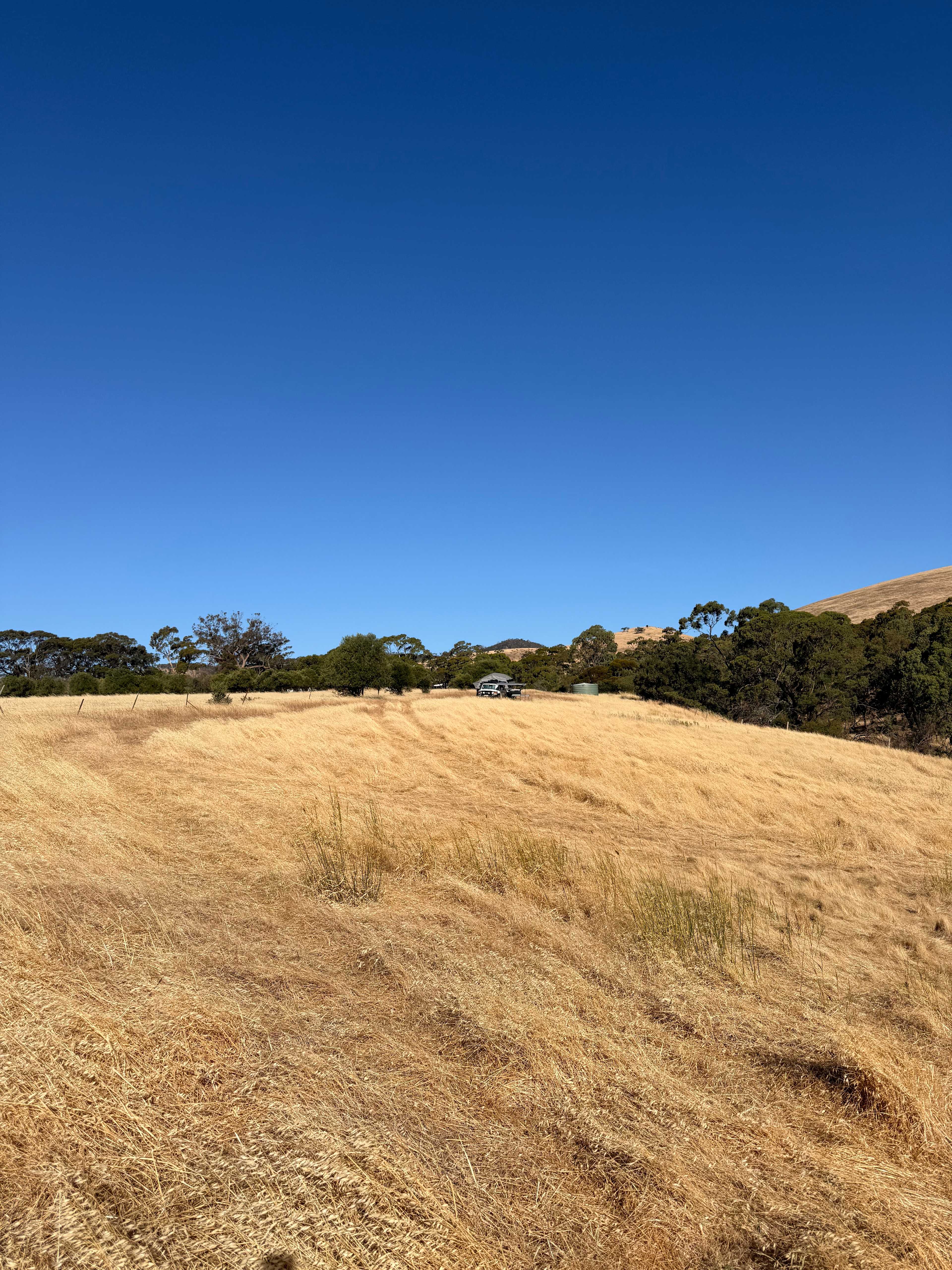 Jacob’s Creek Farm, Krondorf