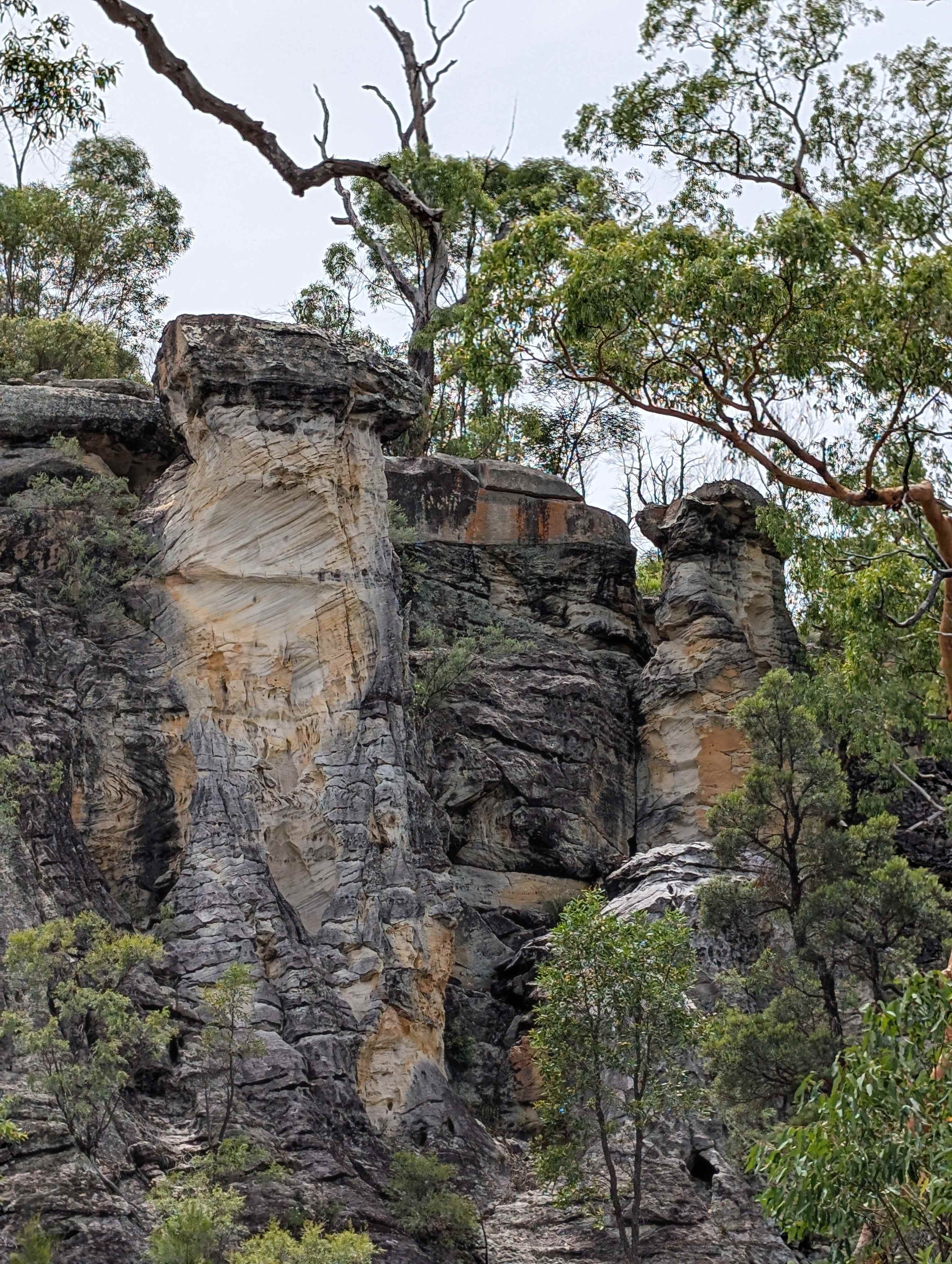 Kenniff's Gang Bush Camp