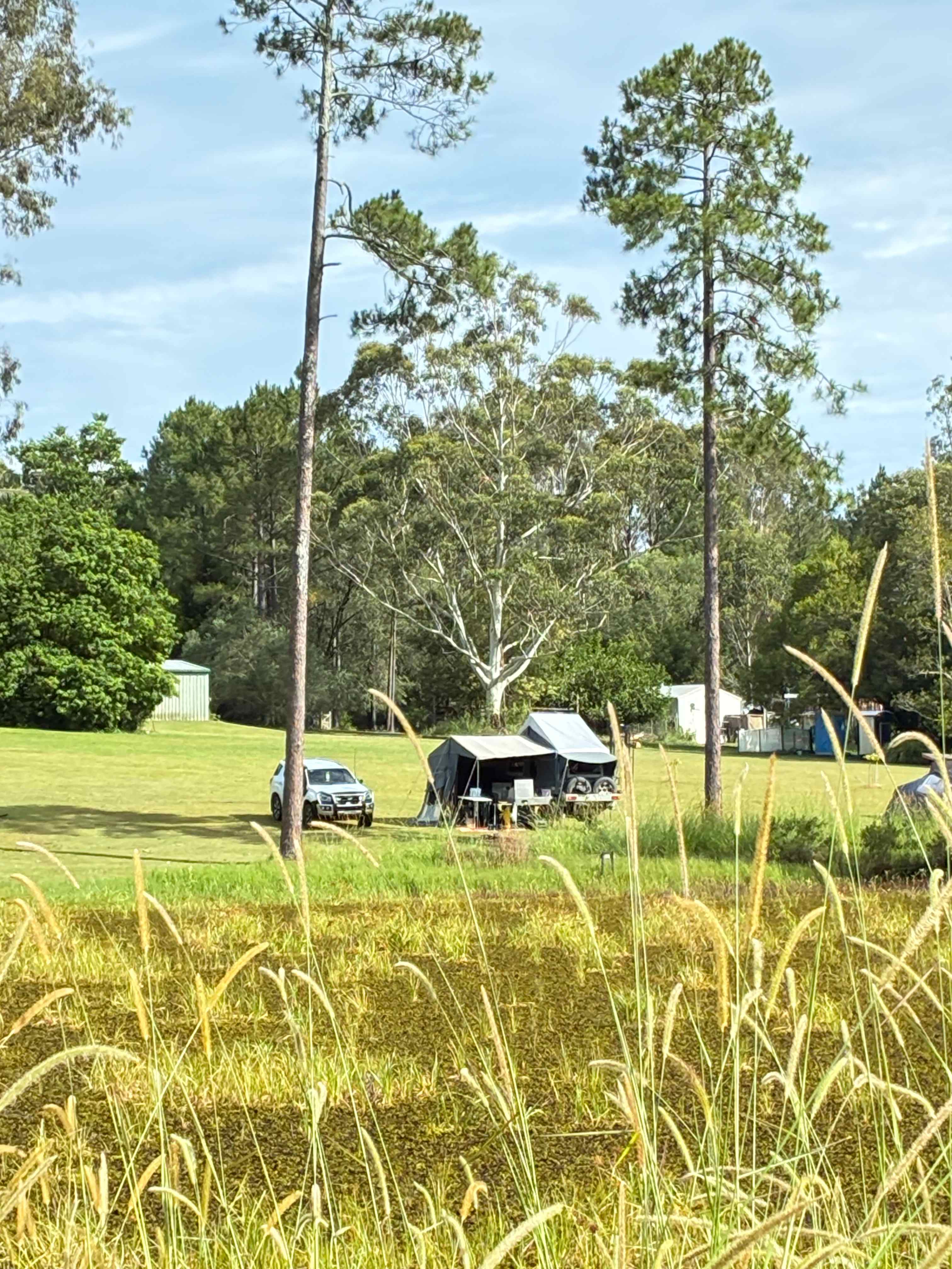 Bushywood at Woodfordskilake