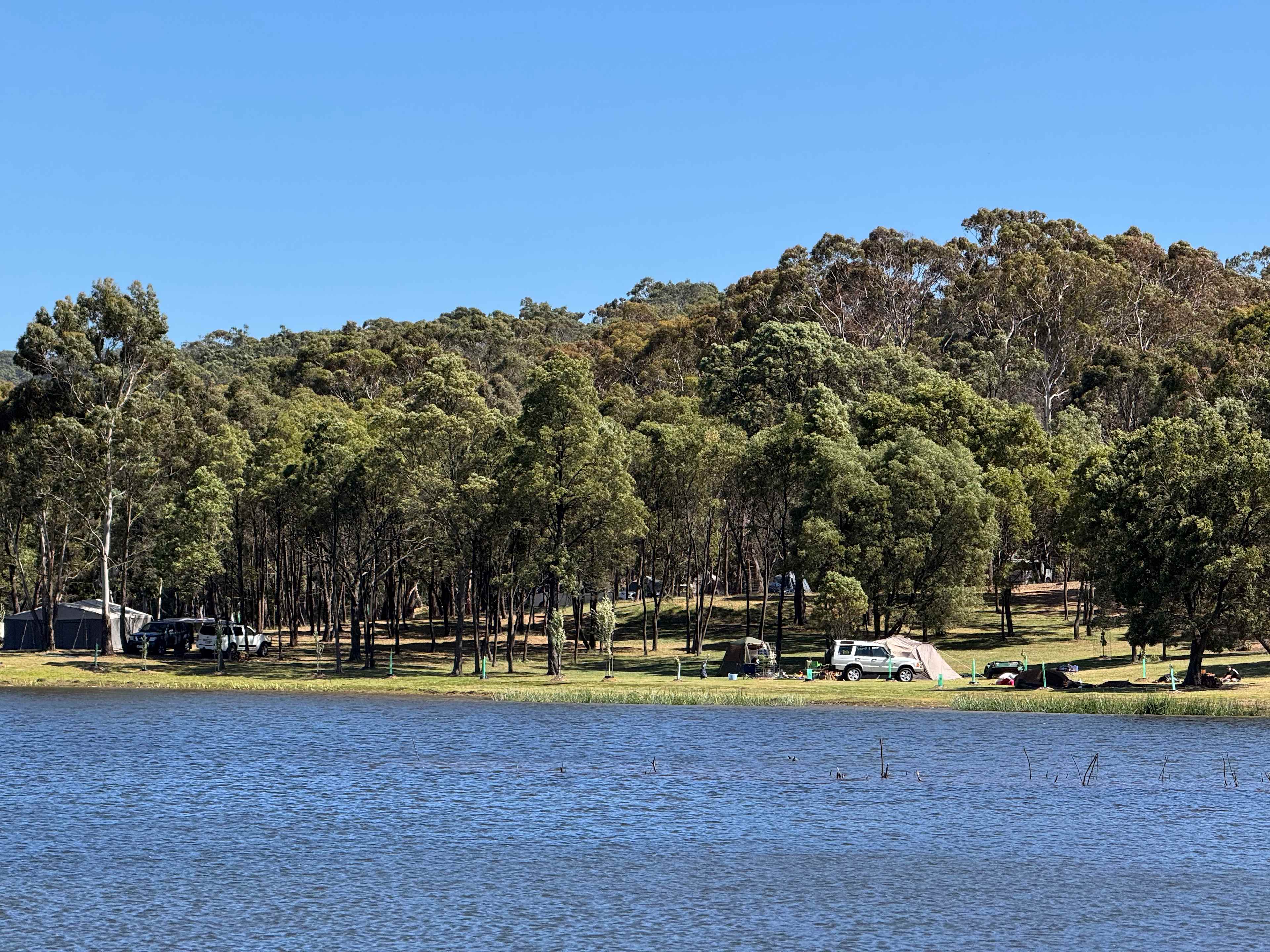 Lancefield Lake's A WETLANDS WONDER
