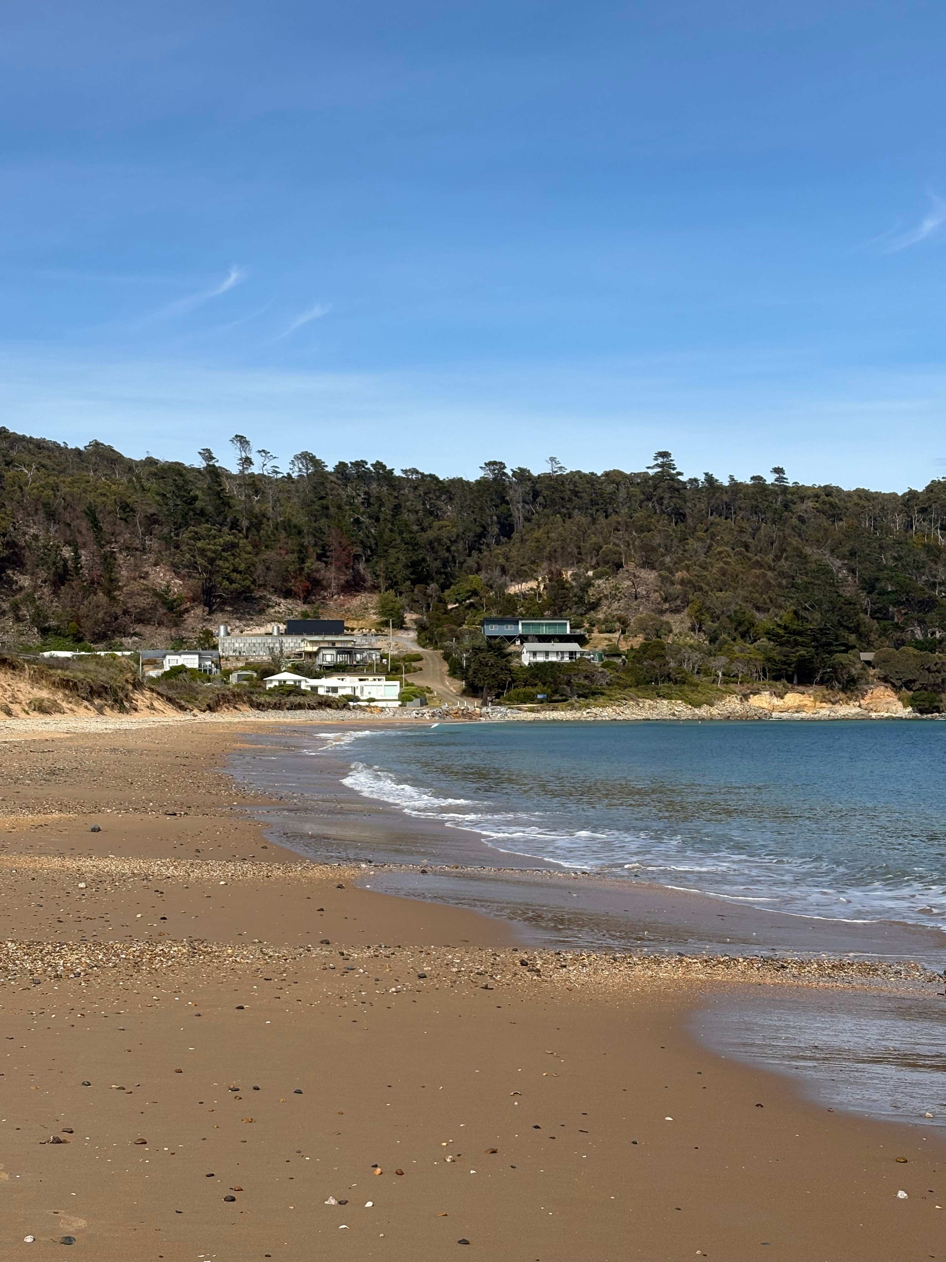 The Y at Badger Head