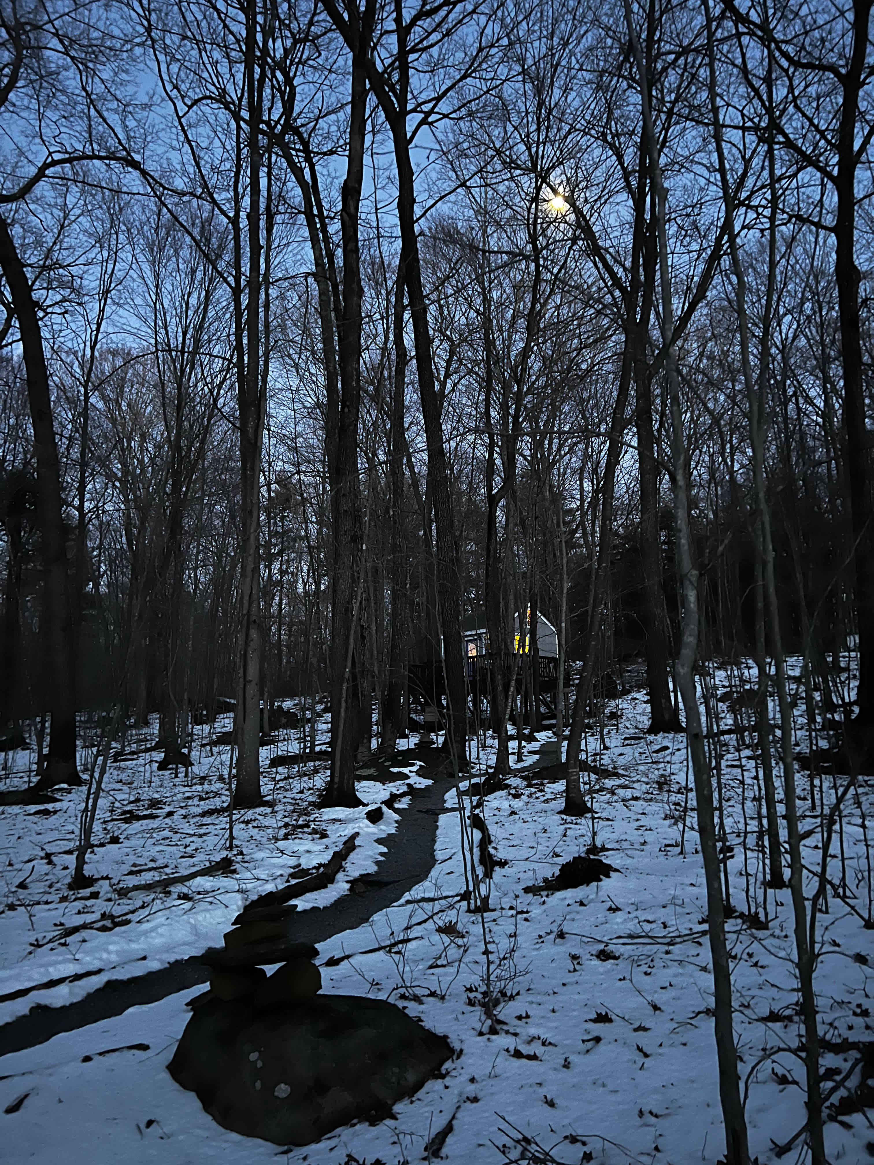 Water Forest Retreat