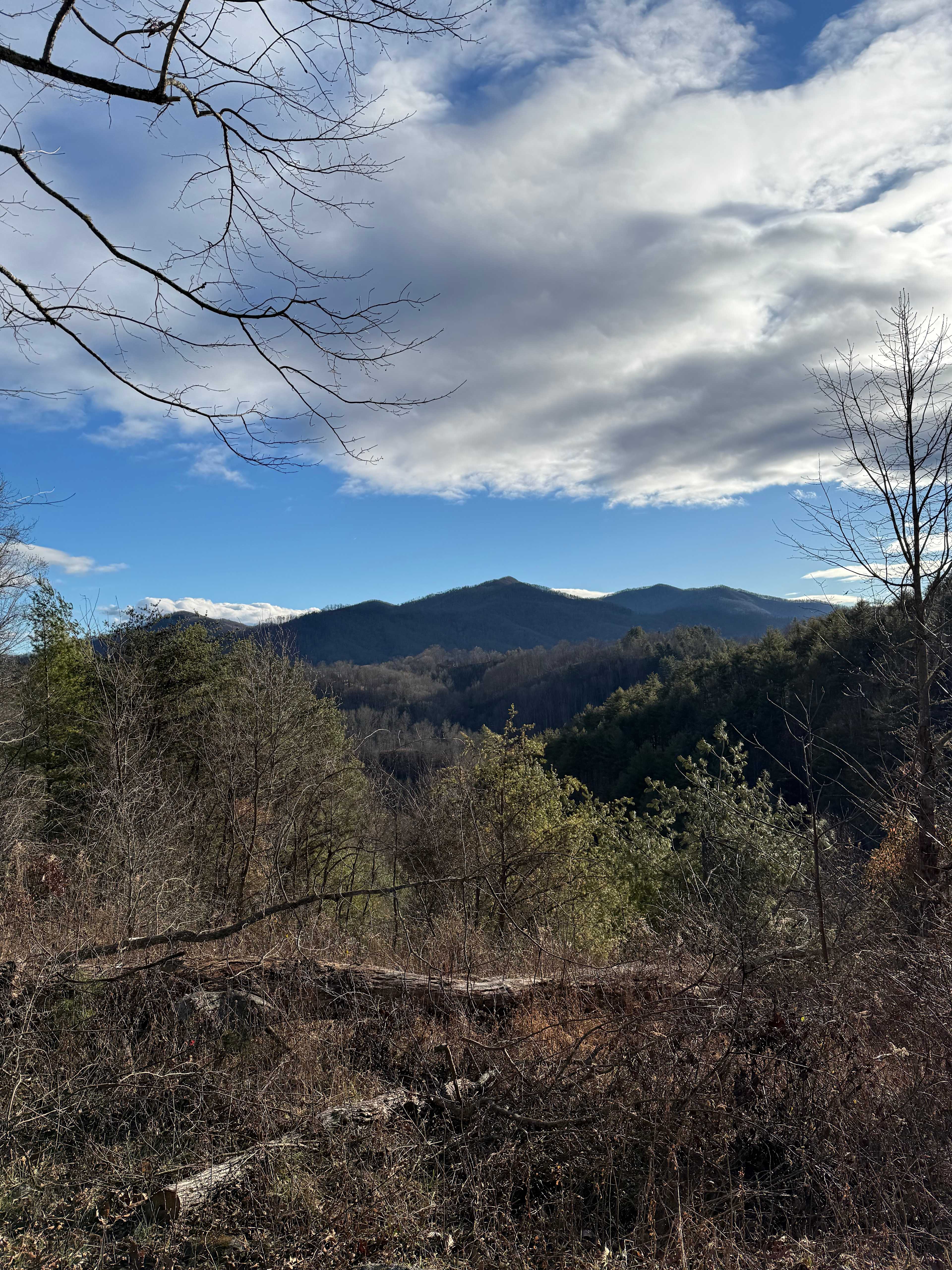 Romantic, hot tub, pet friendly