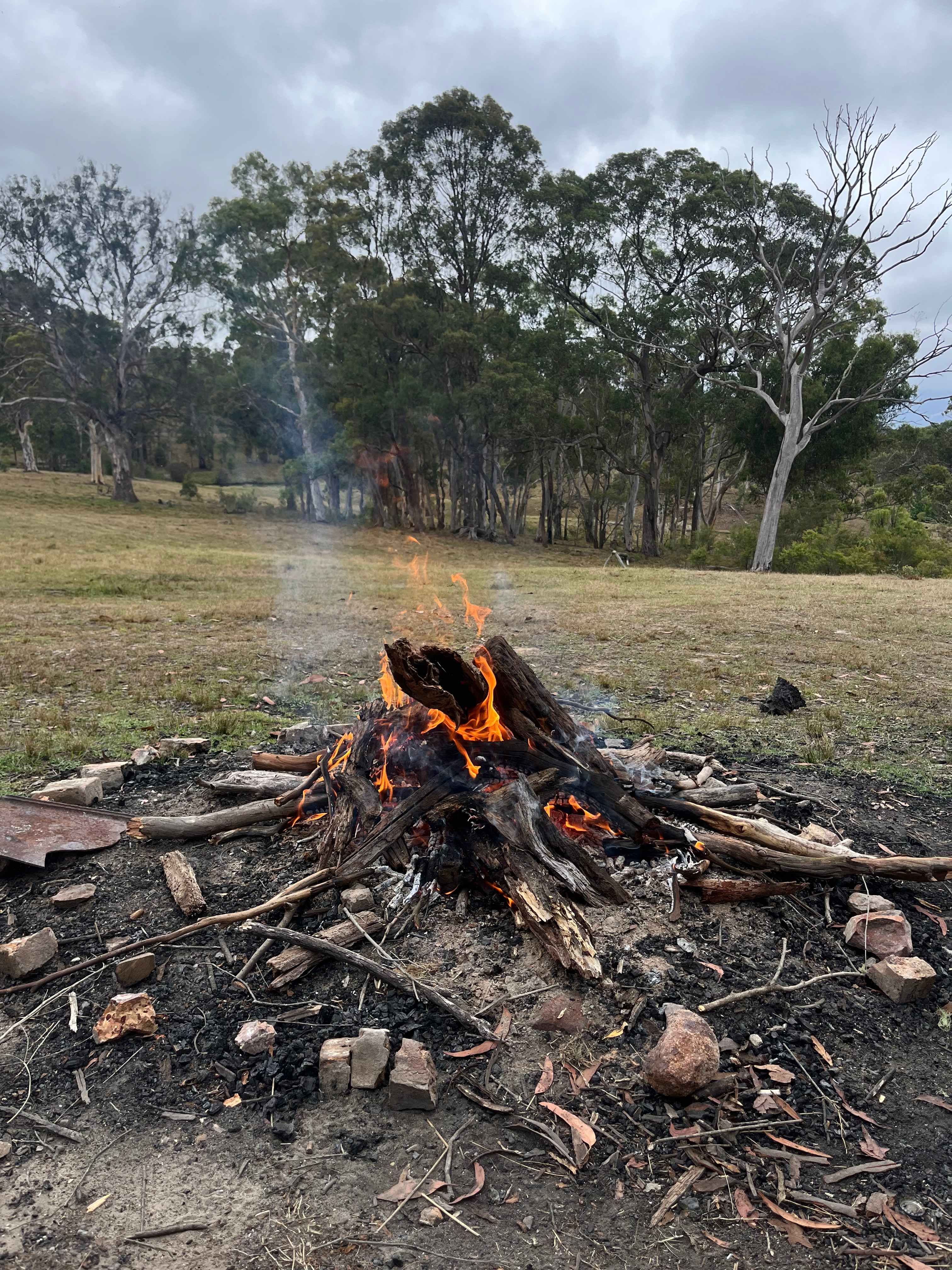 Megalong Valley Farm