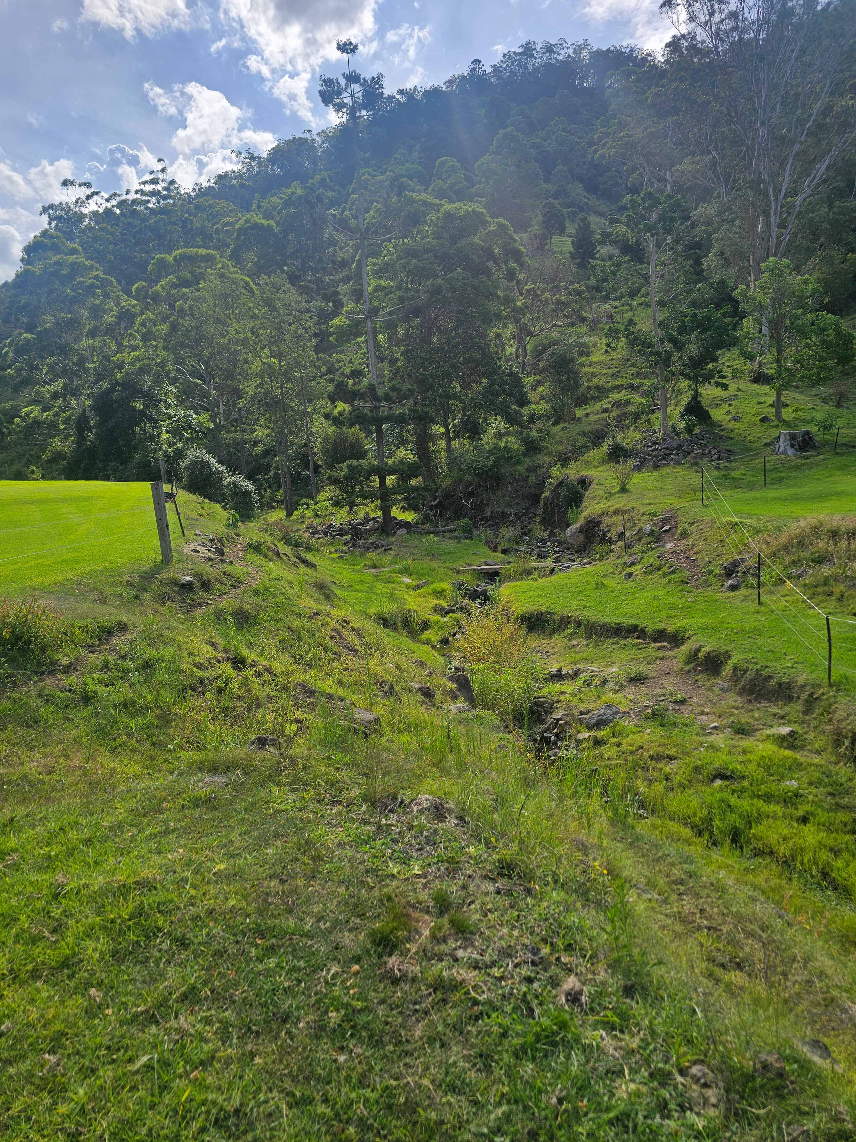 Frog’s Hollow Scenic Rim