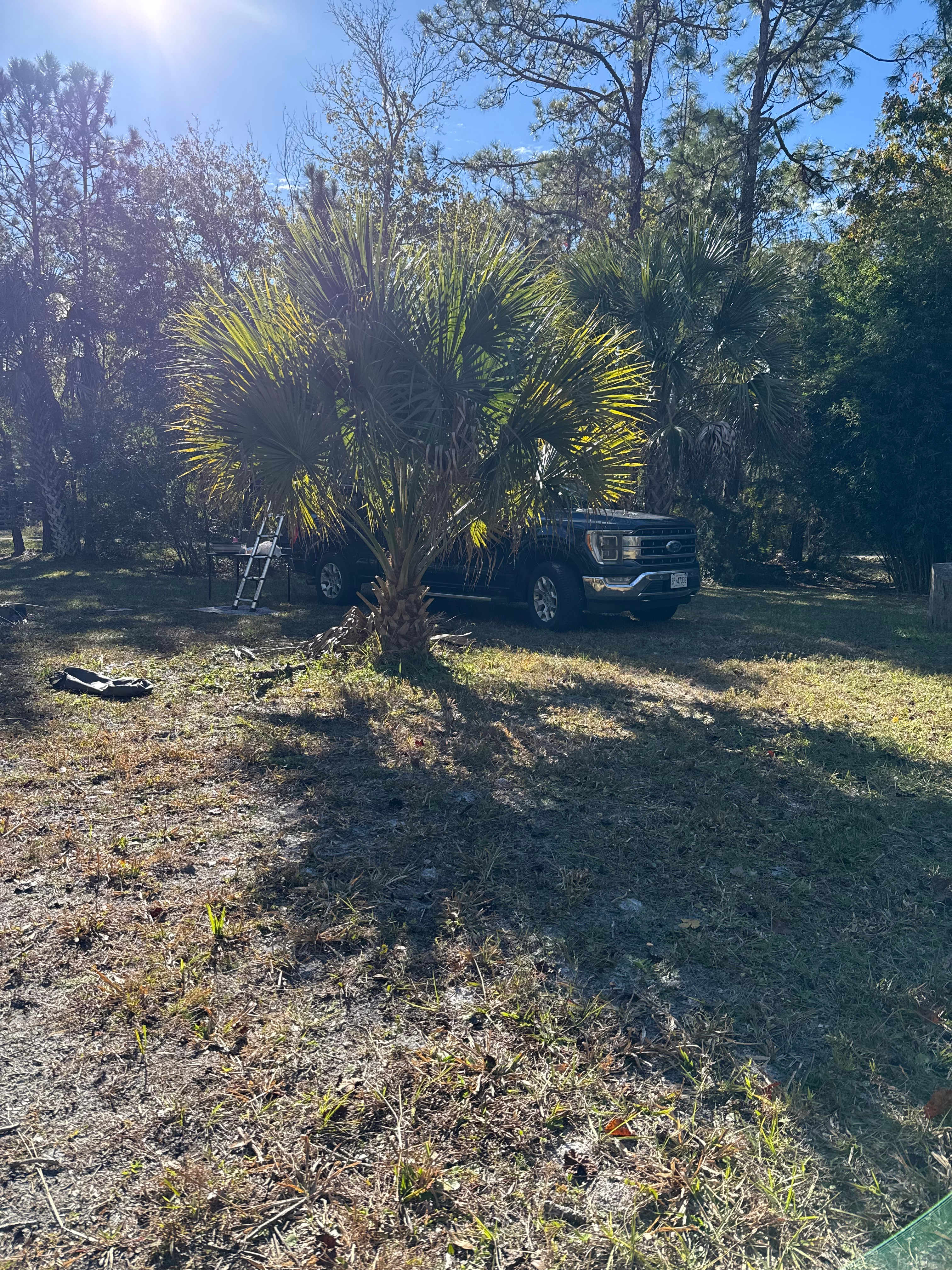 5 Starfish Resort Camping