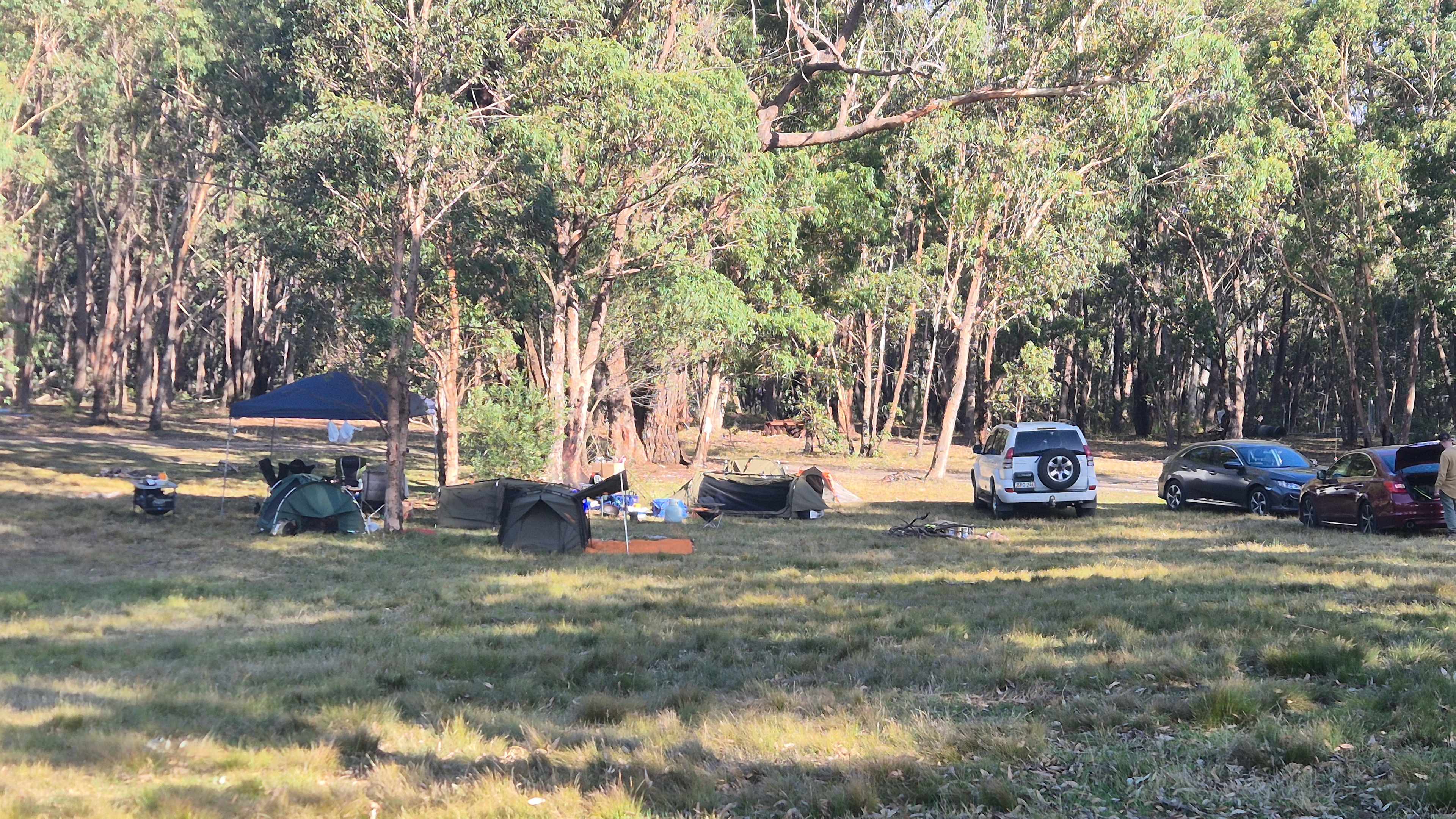Megalong Valley Farm