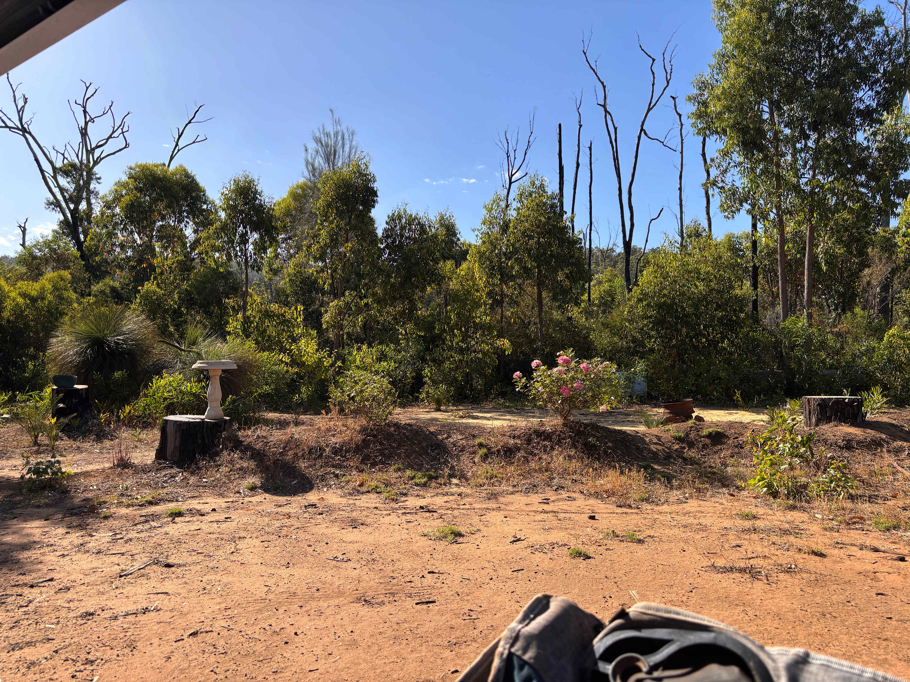 Murray Valley Camping