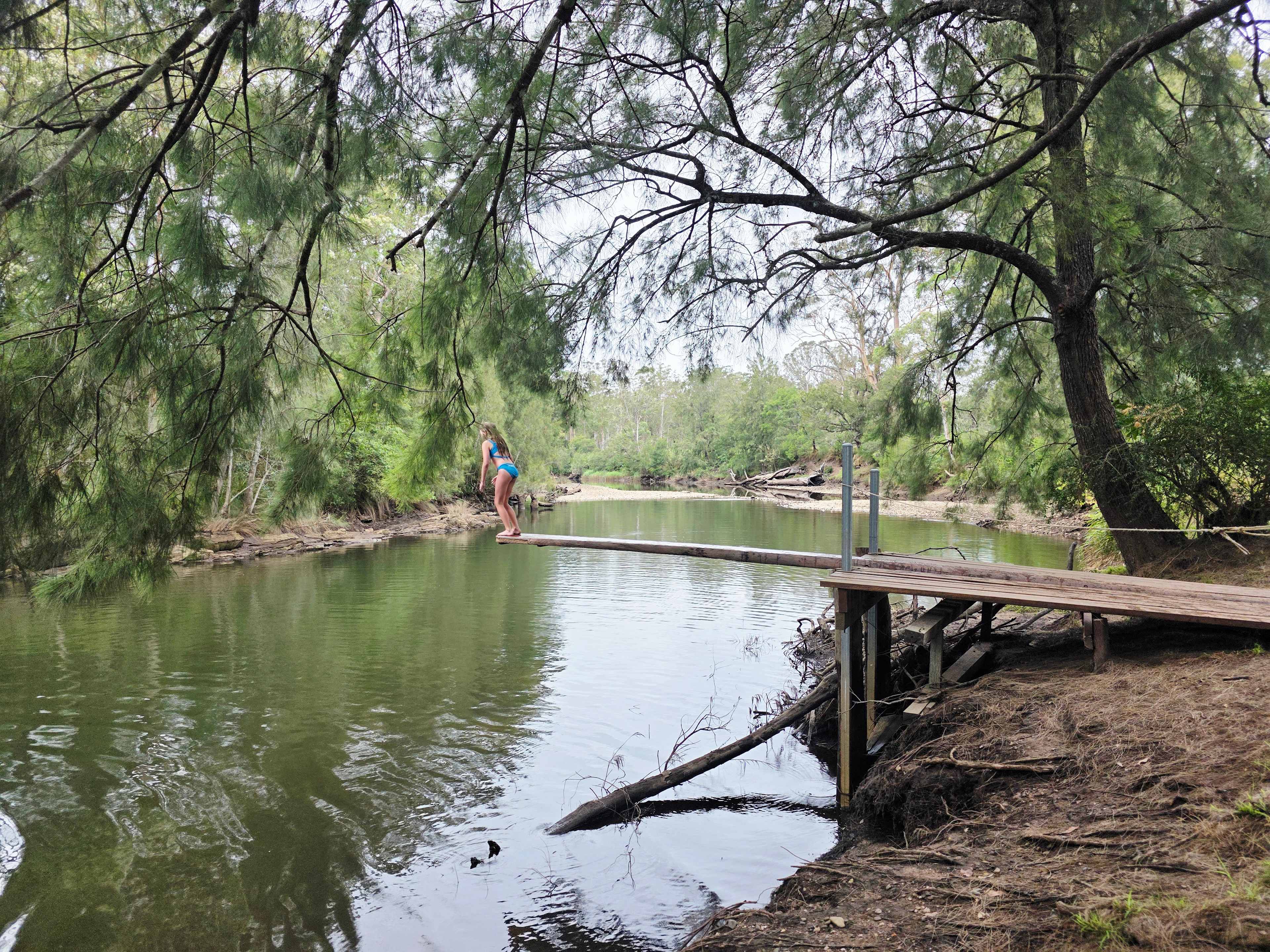 The deck and diving board