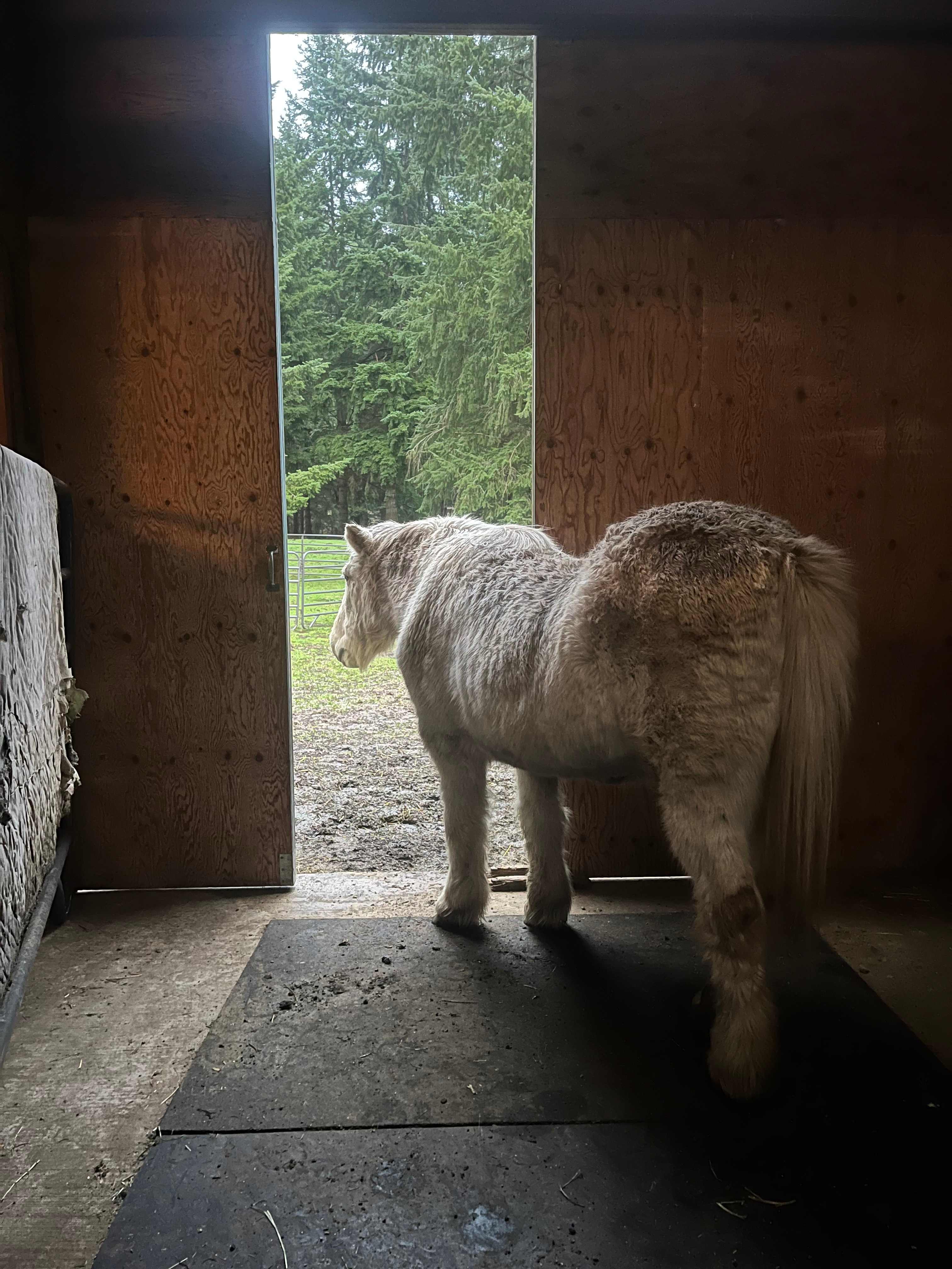 Country Refuge Close to City