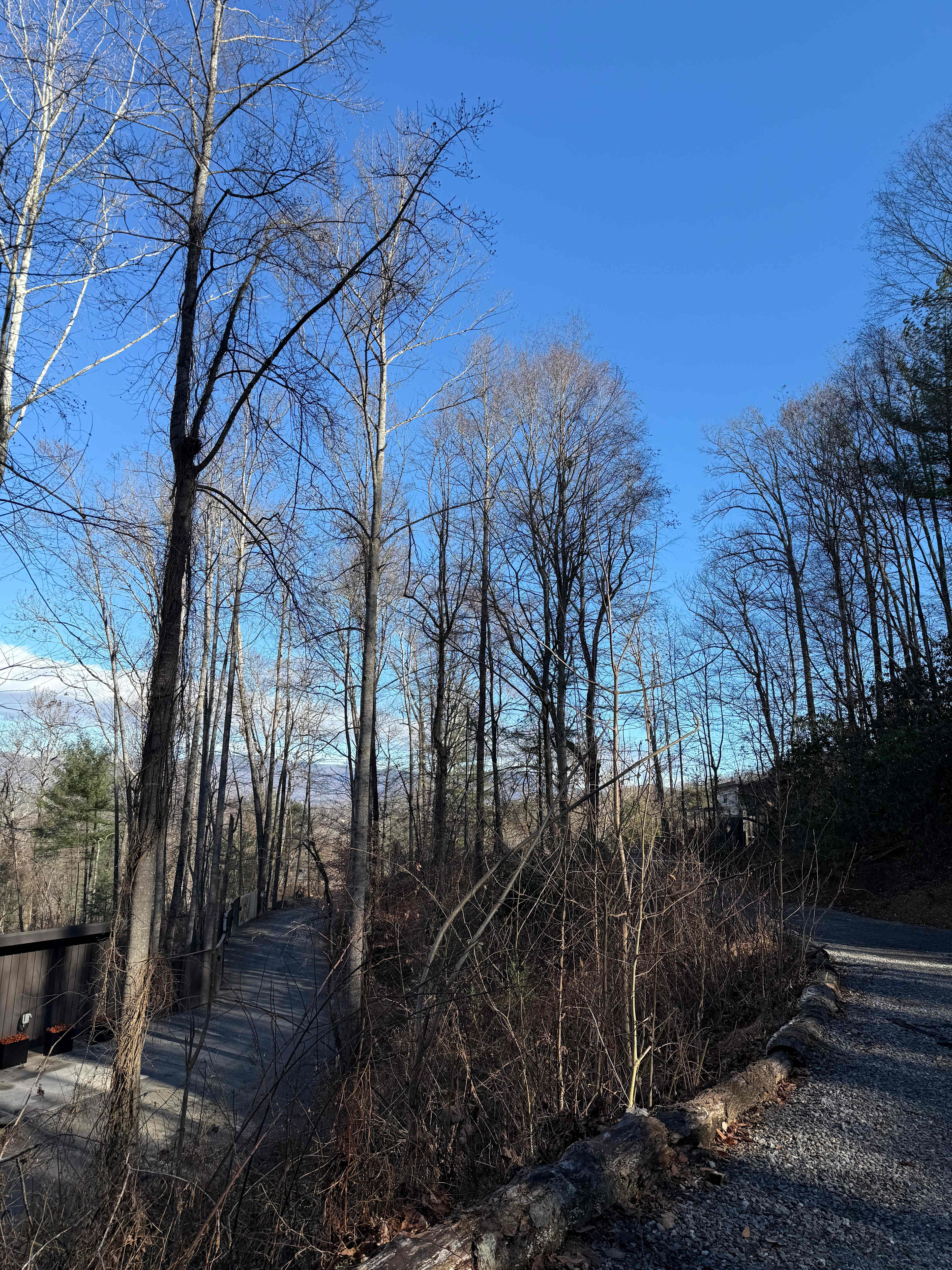 Asheville Area Luxury Solo RV'ing