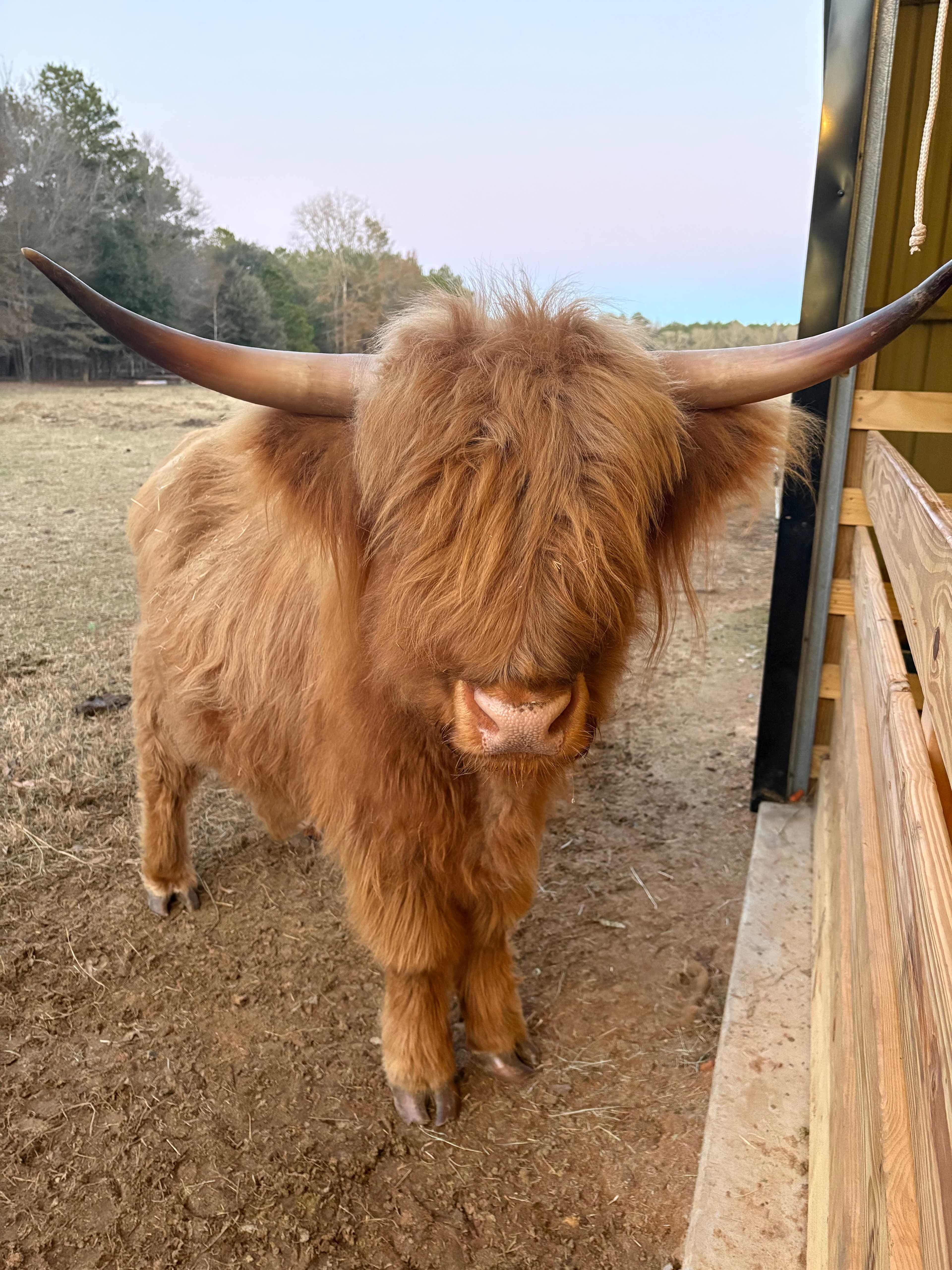 Camp at The Farm - Outside Inn