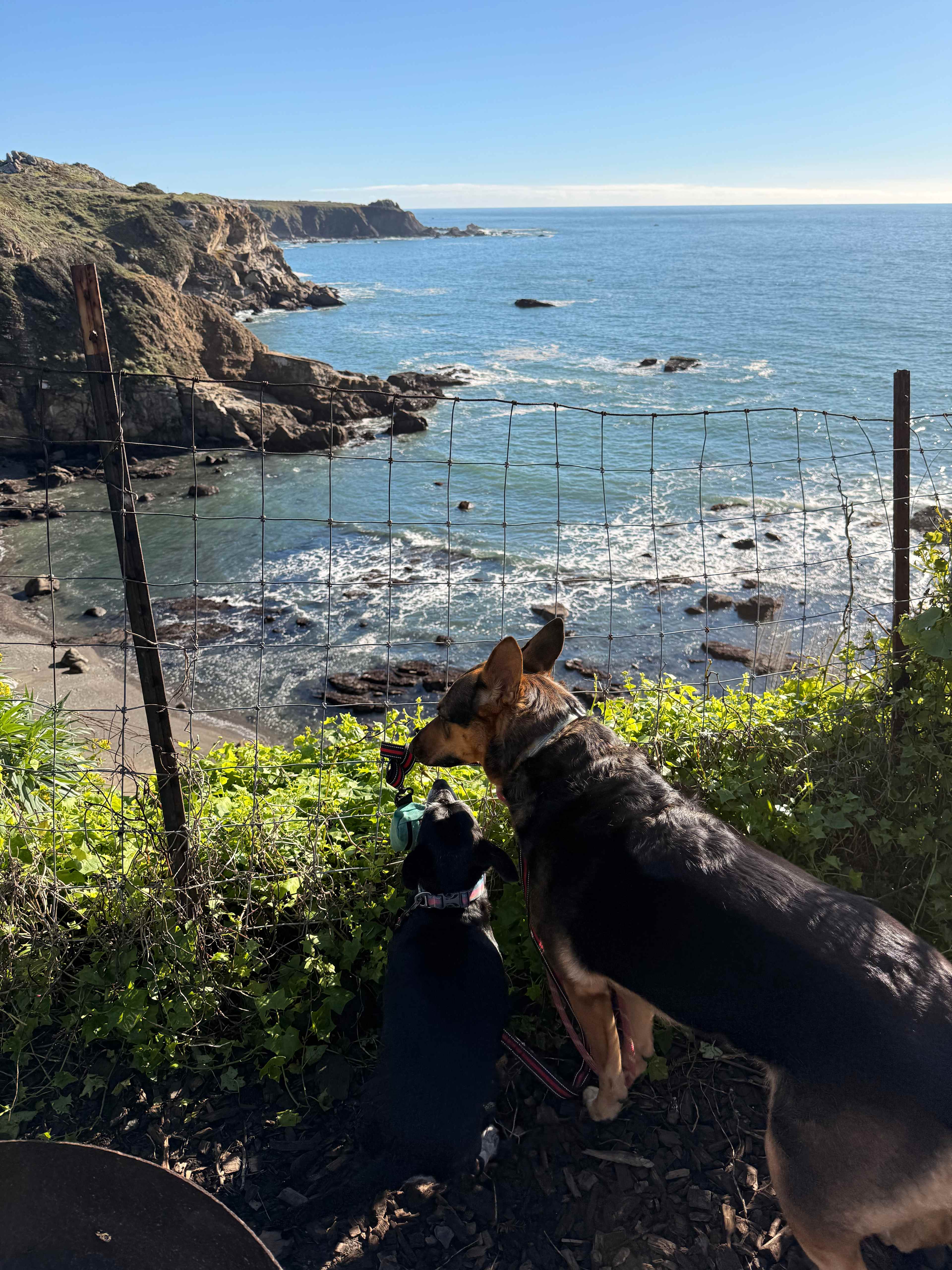 Timber Cove Campground