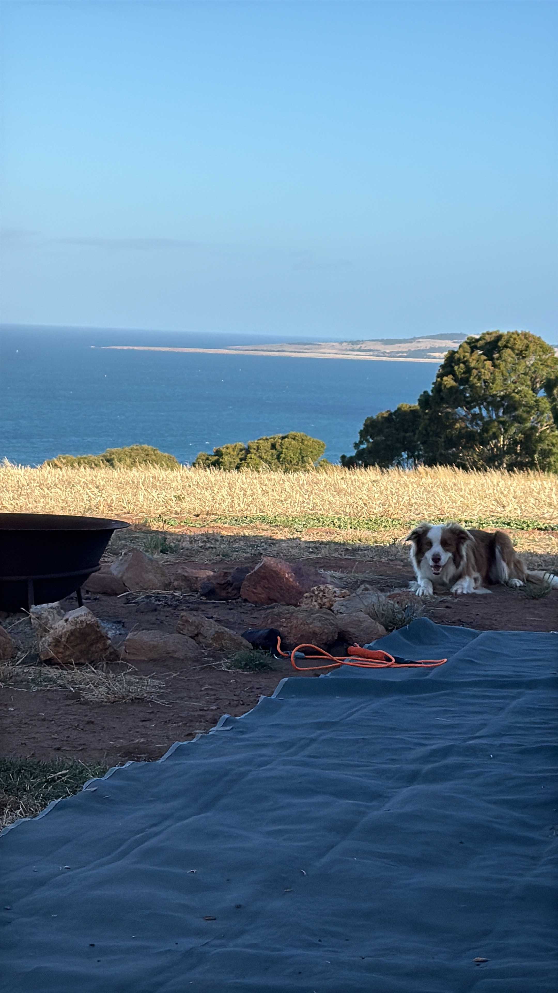 Tiatukia Farm Campsite by the Sea