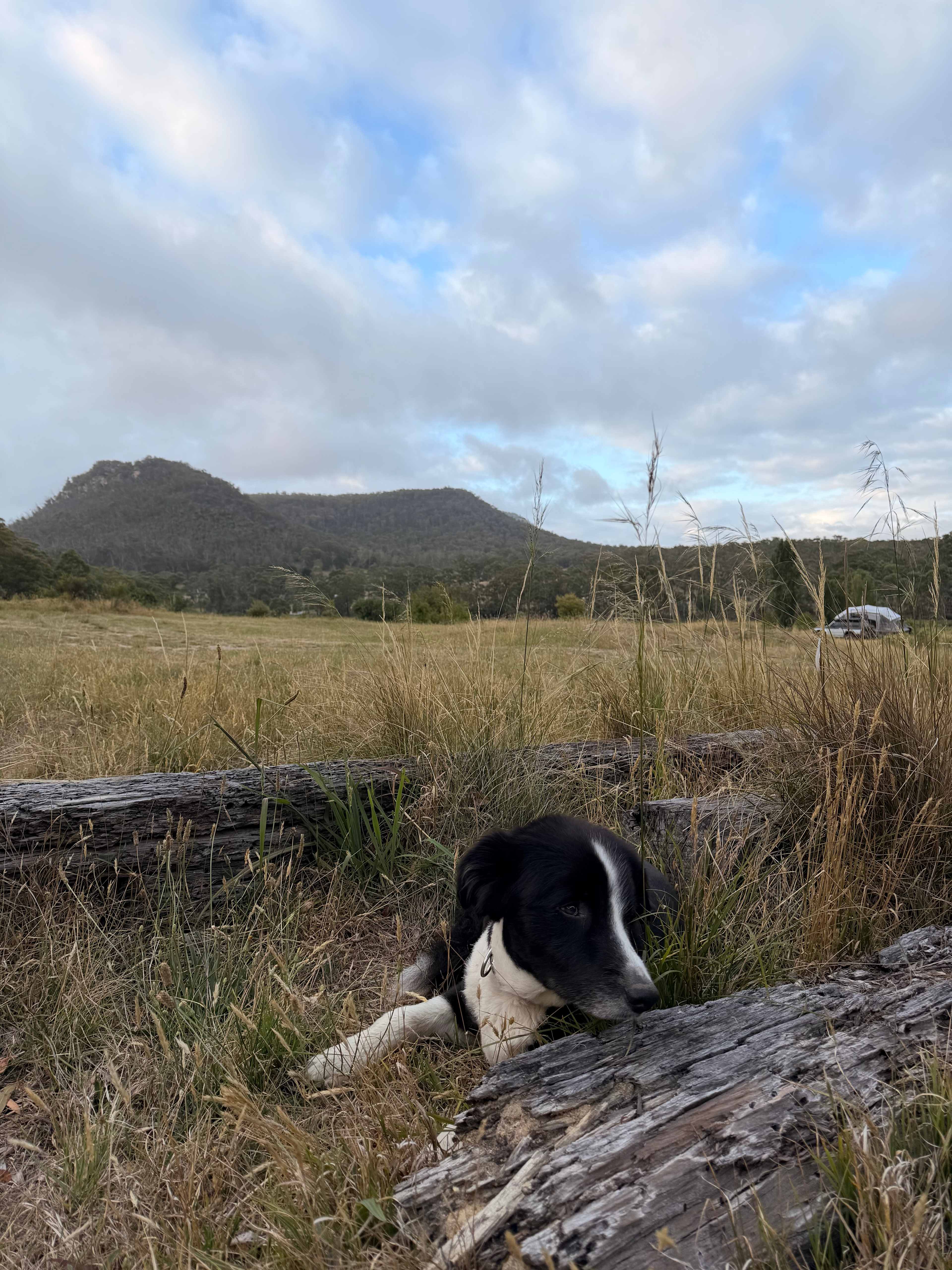 Hartley Vale Garlic Farm