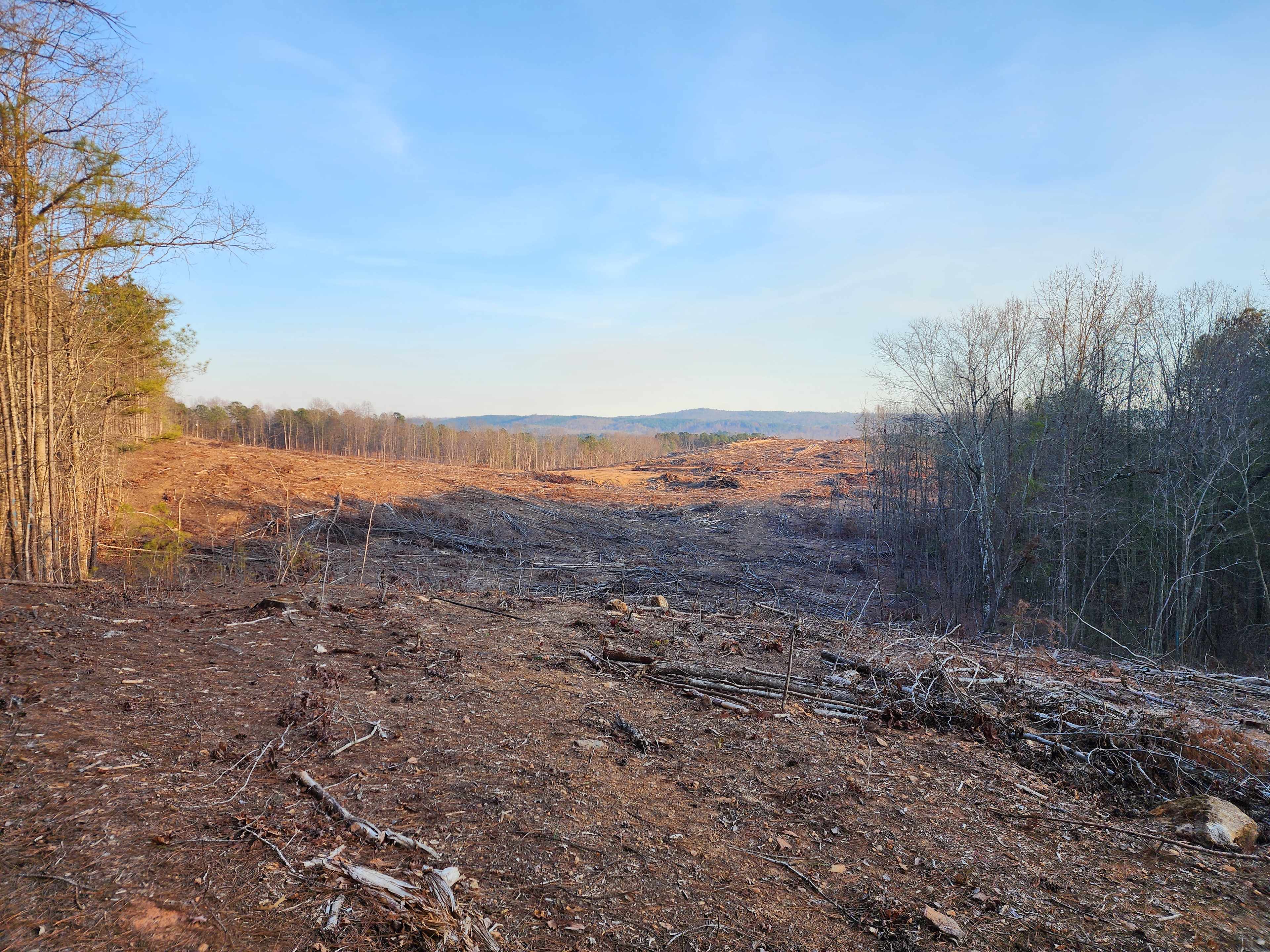Hidden Branch Campground