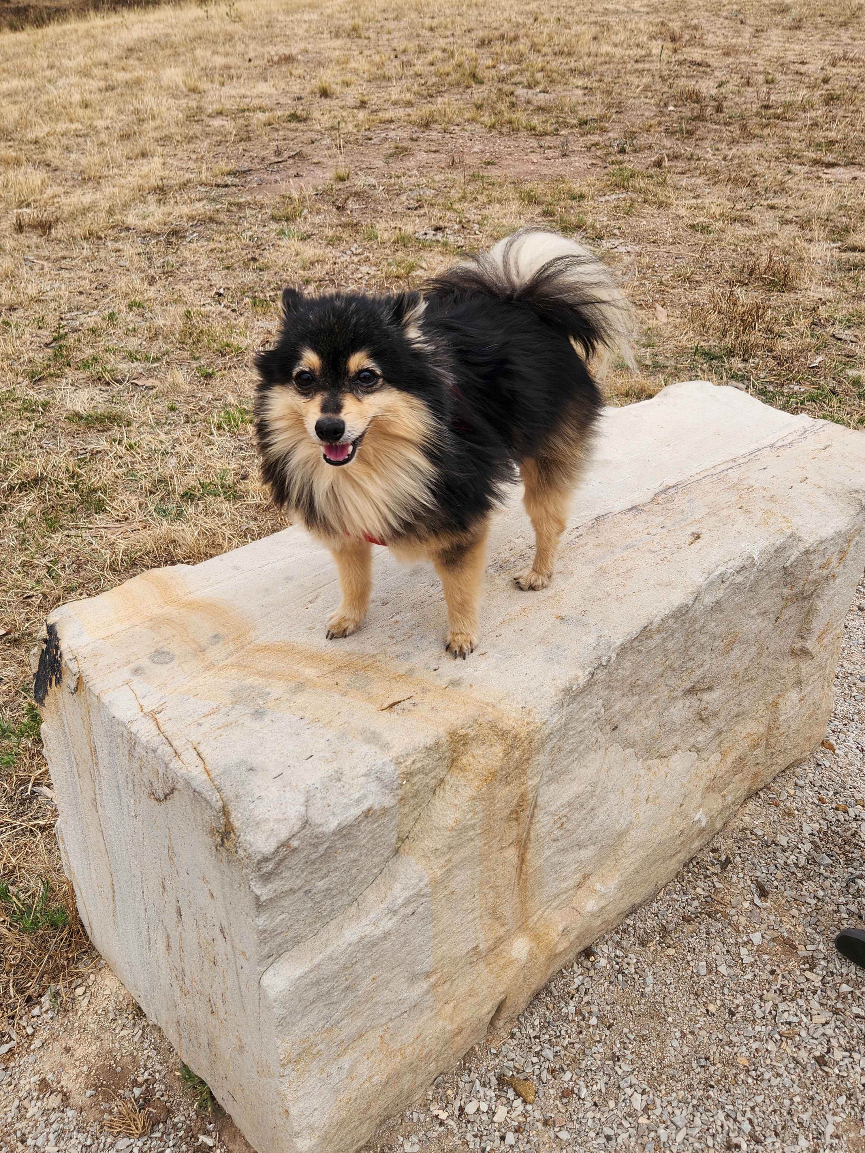 Hillsdale Farm Mudgee - 4WD Access