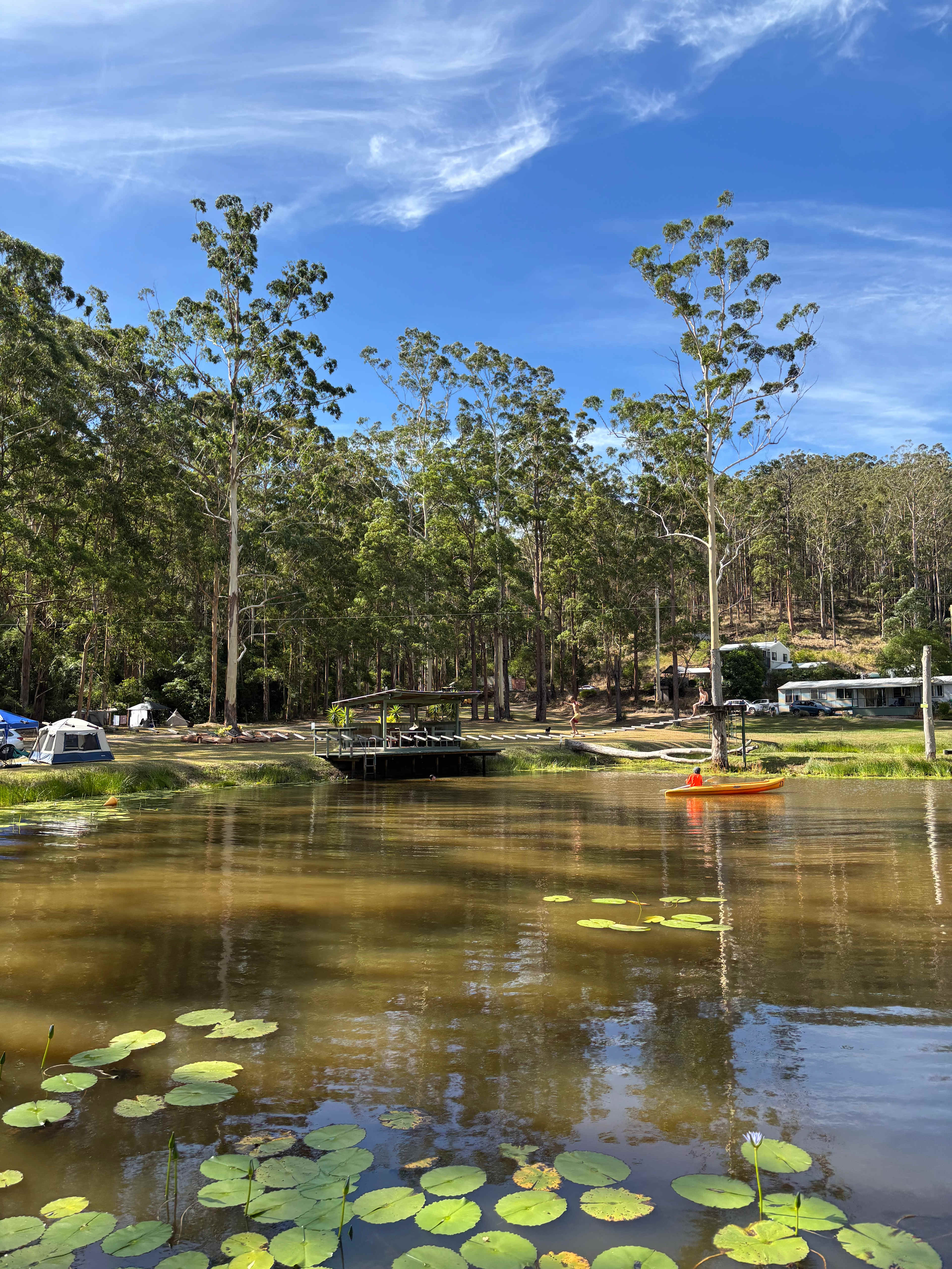 Delhuntie Park -Edens Canopy-