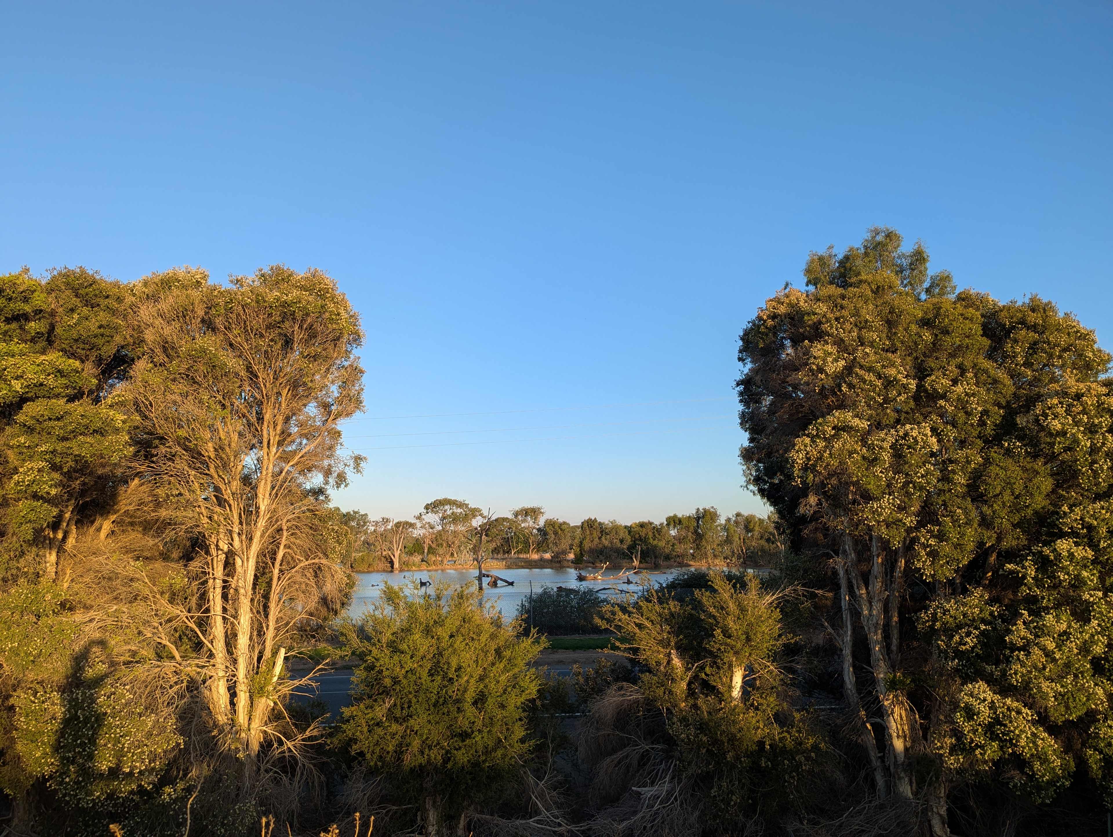 View of wetlands from the bench 