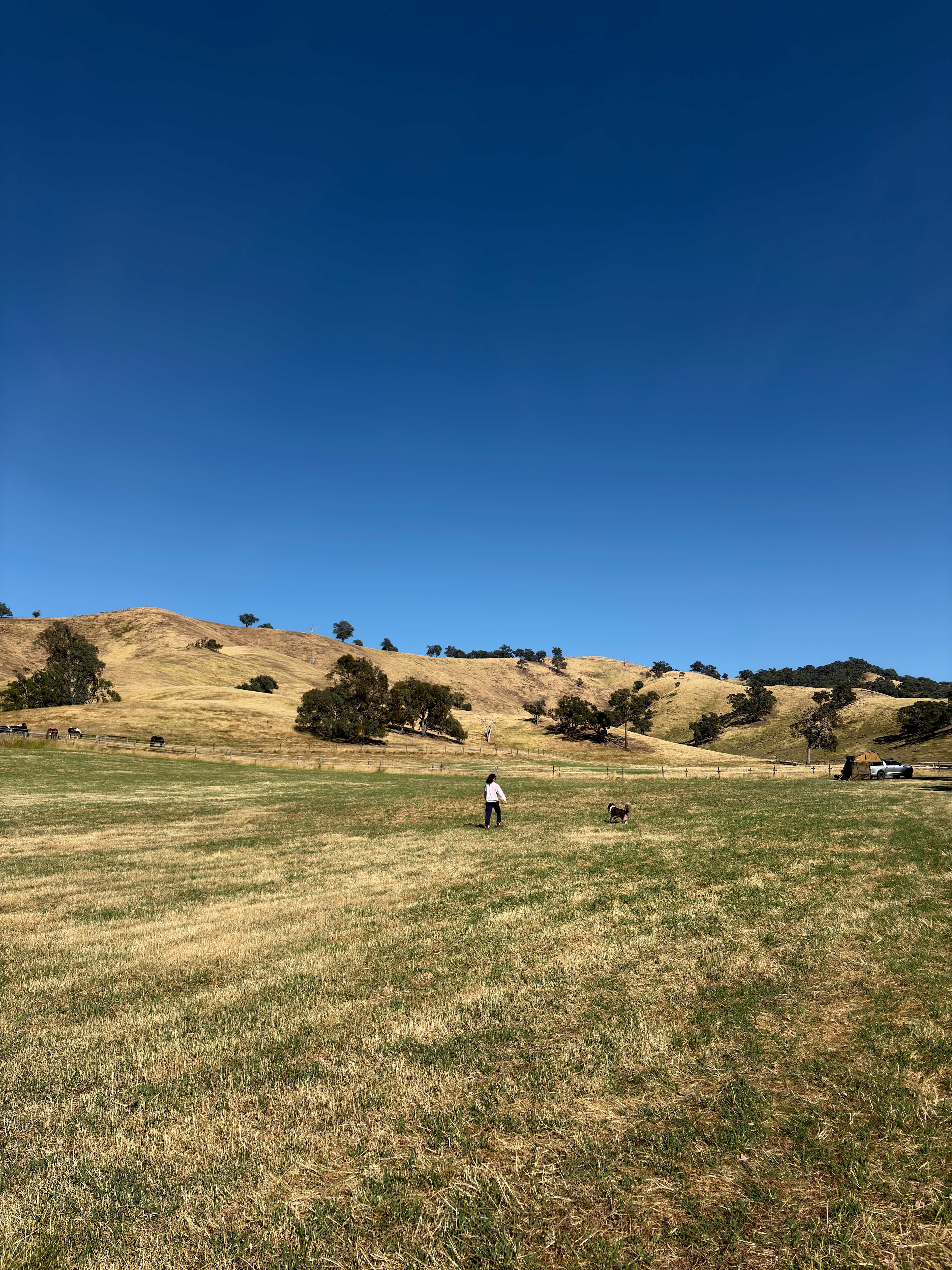 Wildcroft an Escape to the Country