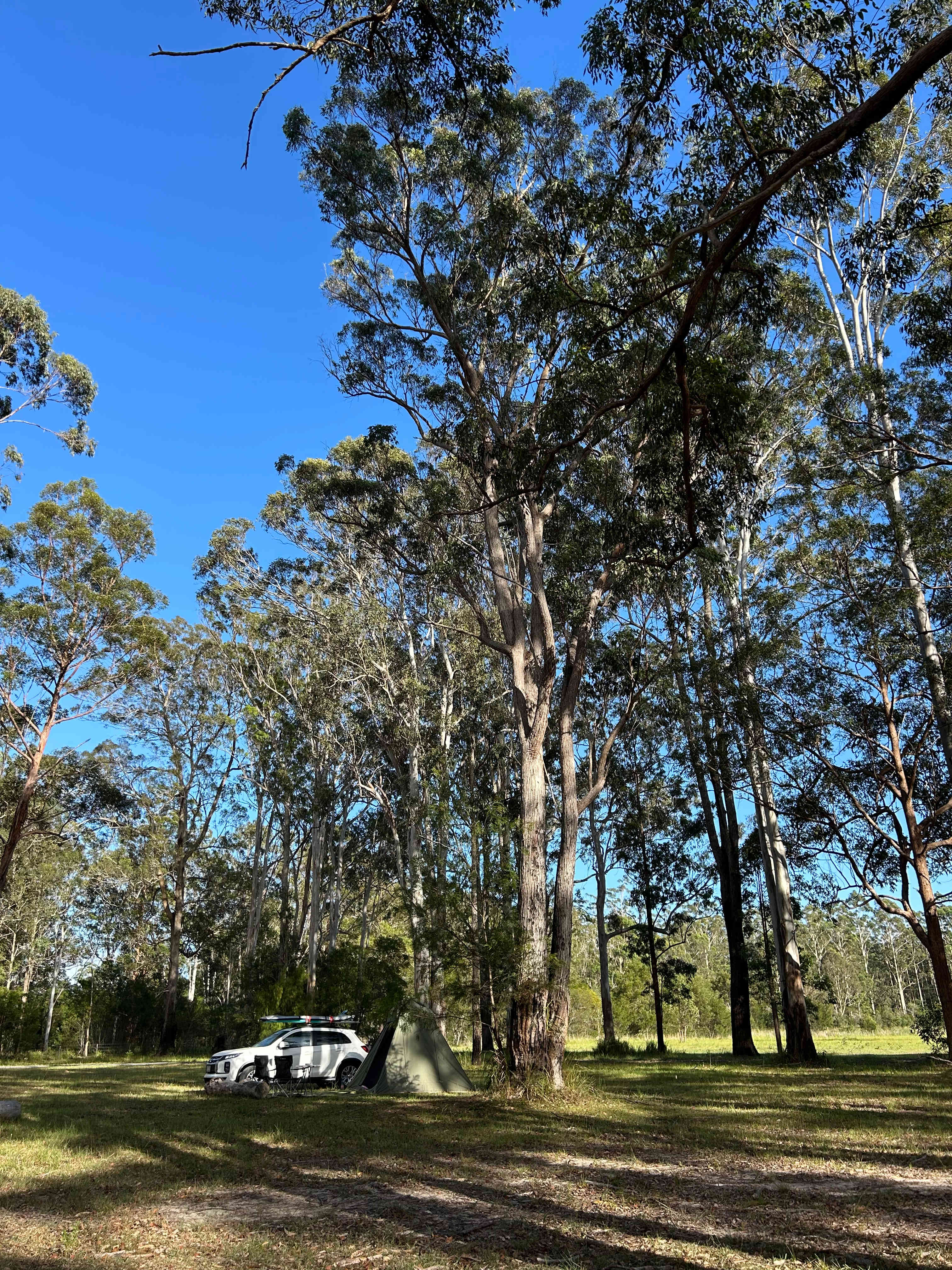 Heartwood - tranquility