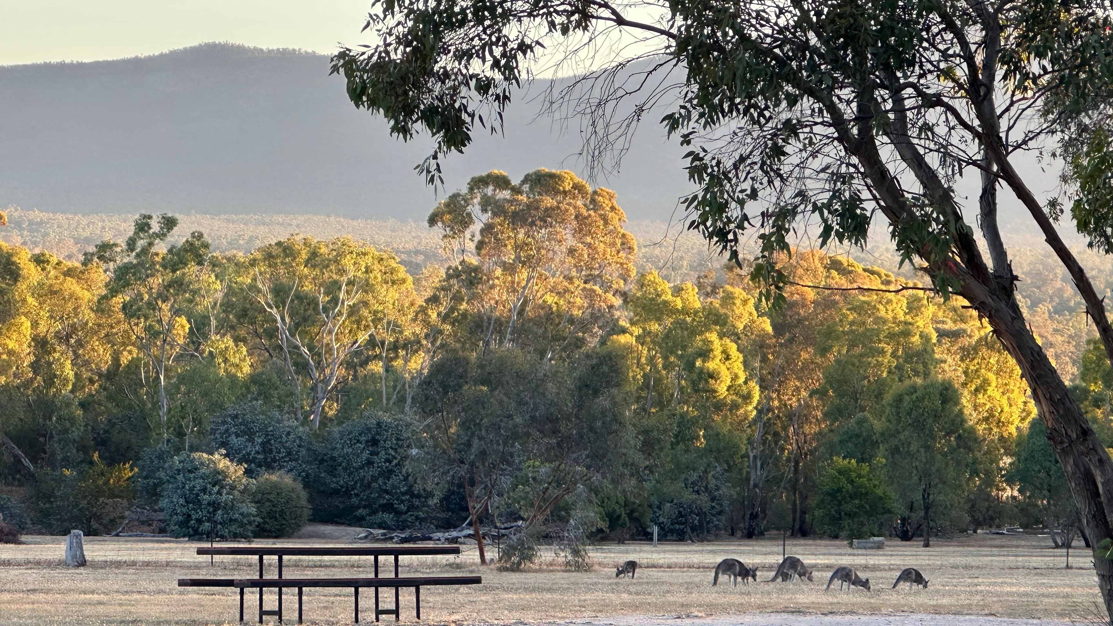 Happy Wanderer Holiday Resort