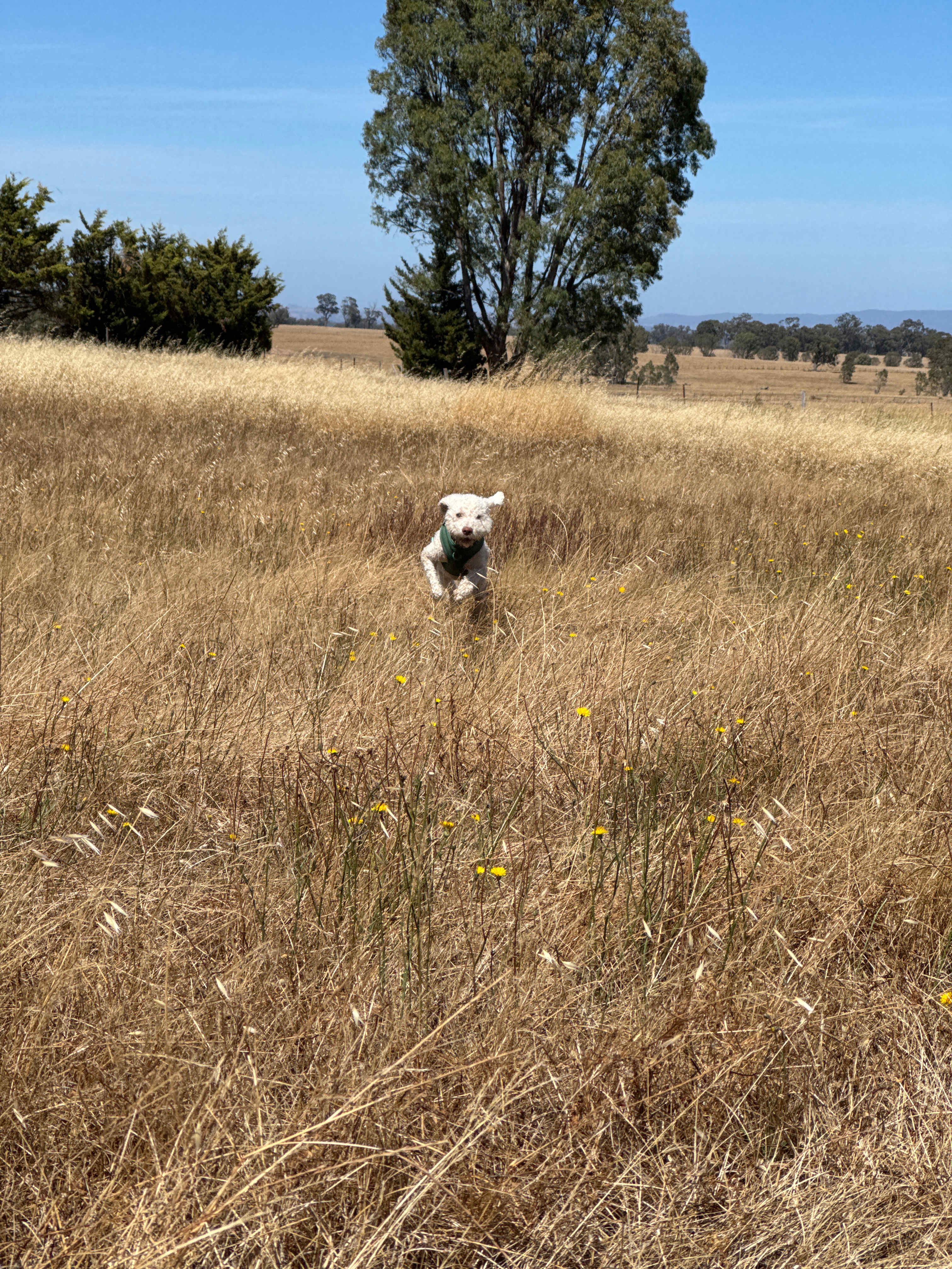 Sunset Stargazing Private Camp