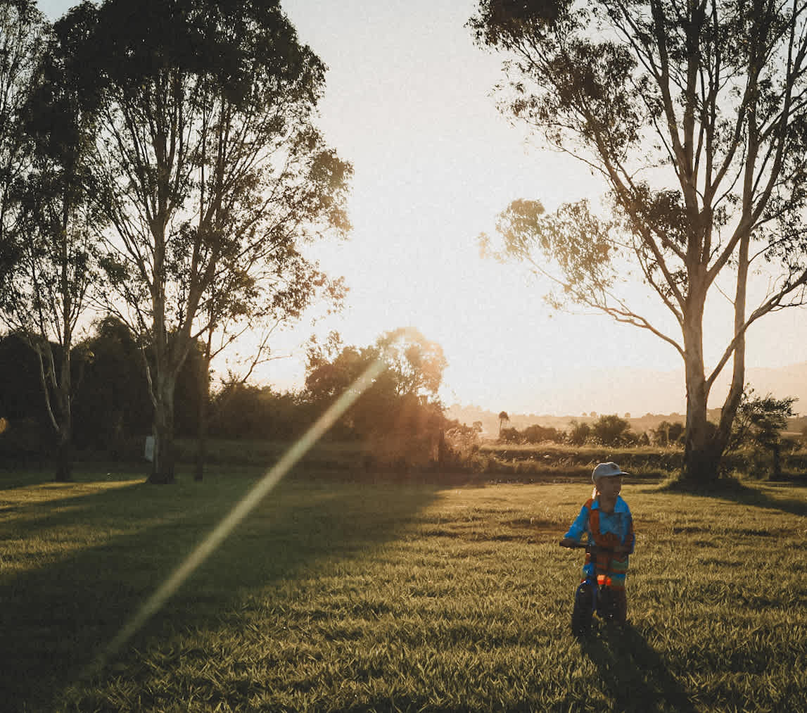 Olive View Estate - Stunning Views!
