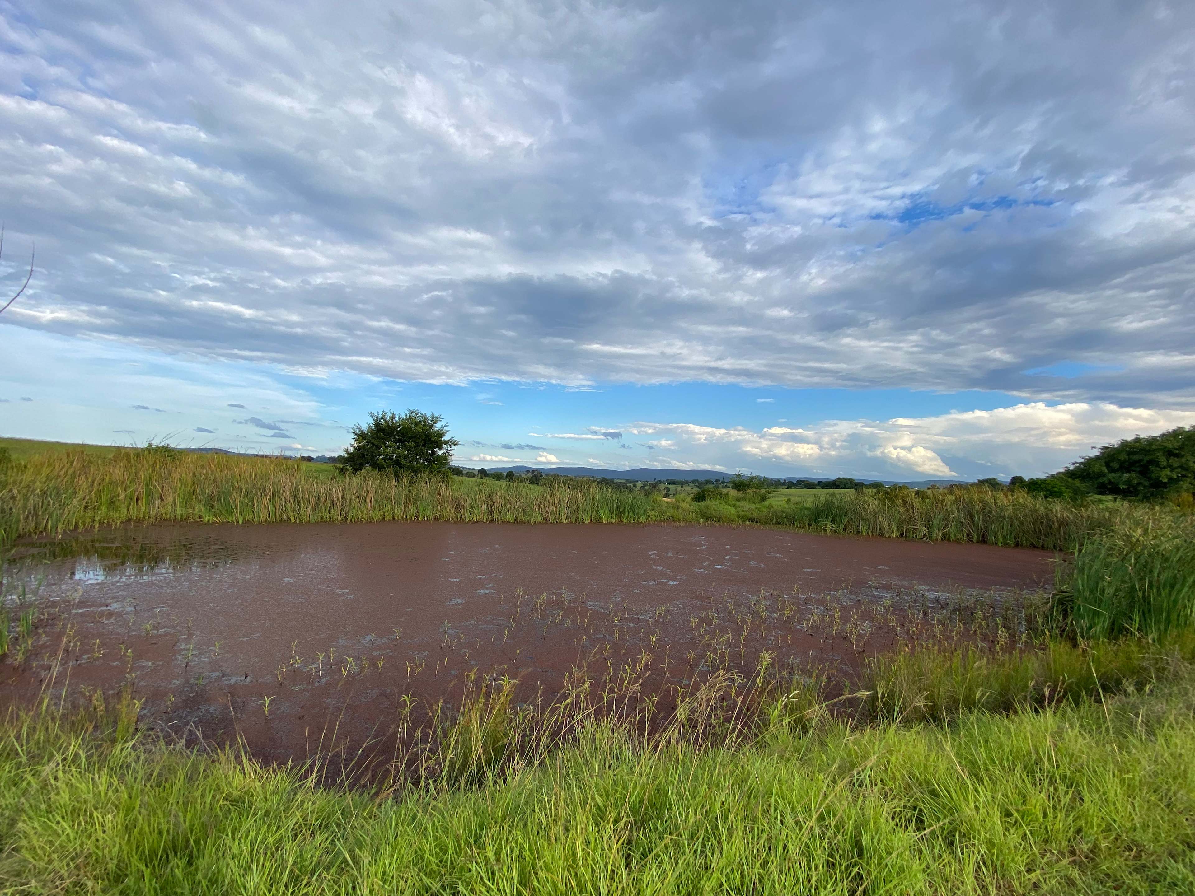 Olive View Estate - Stunning Views!