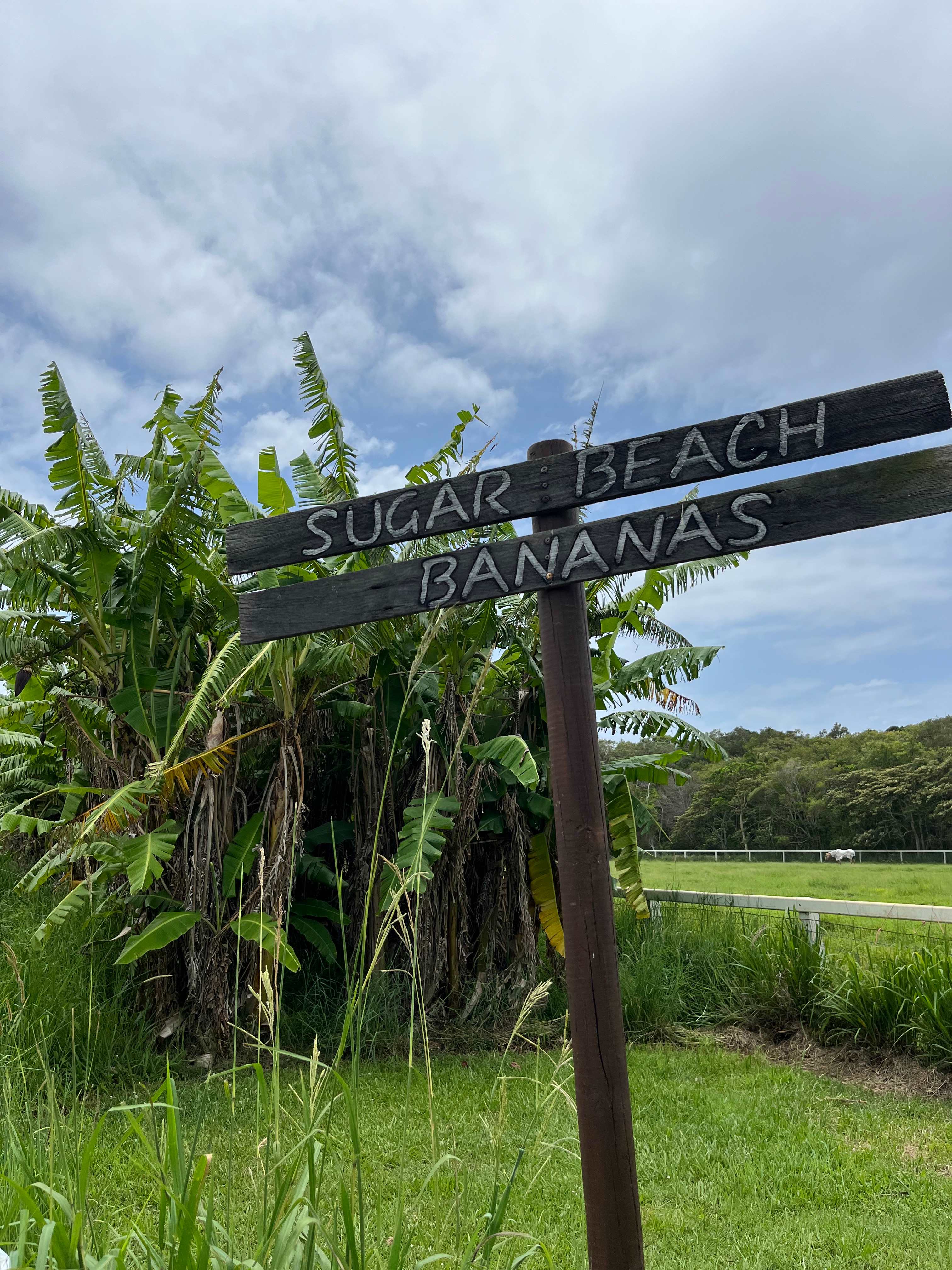 Sugar Beach Ranch - Horse Holidays