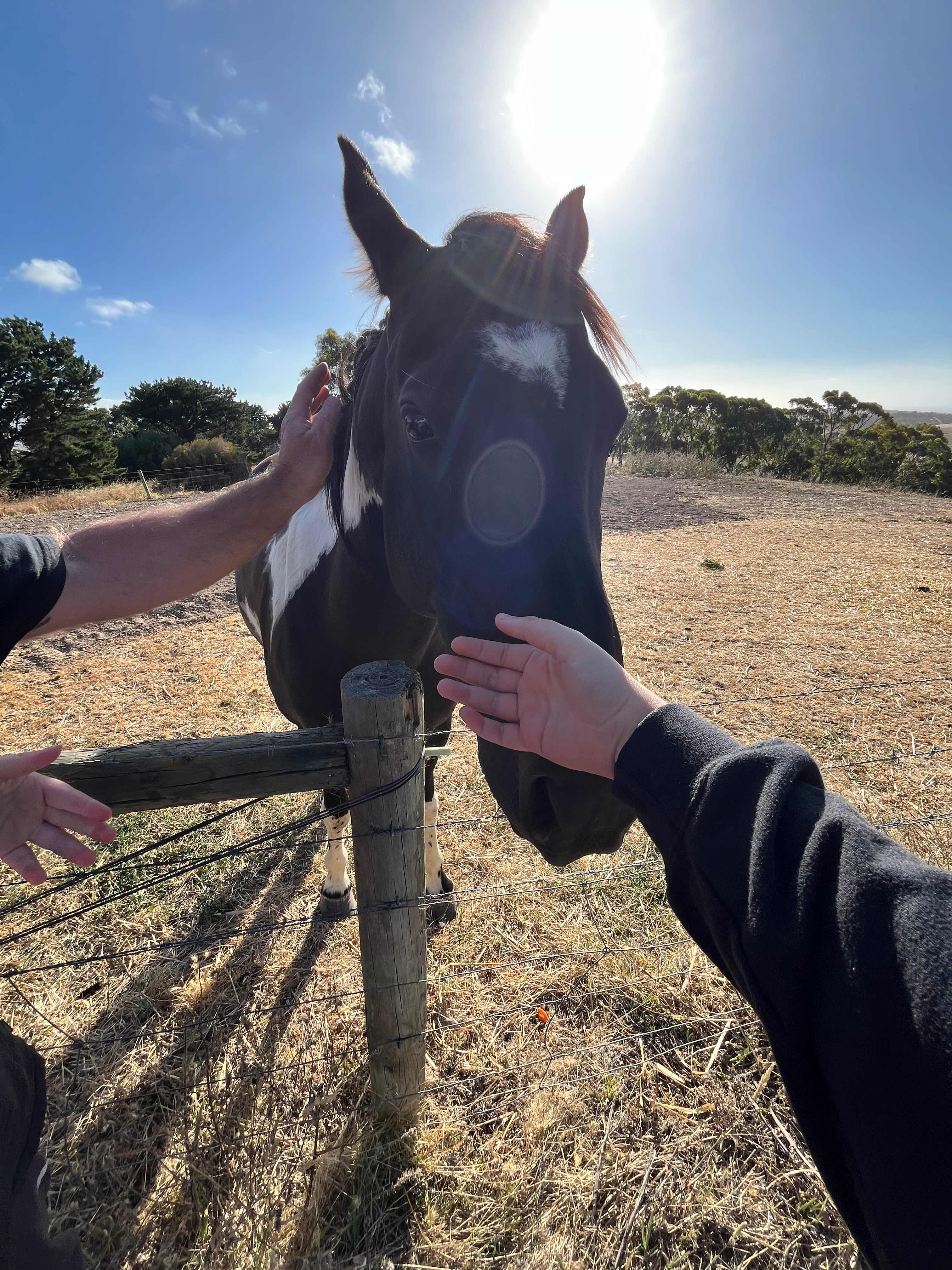 Koala Coast Retreat Farm