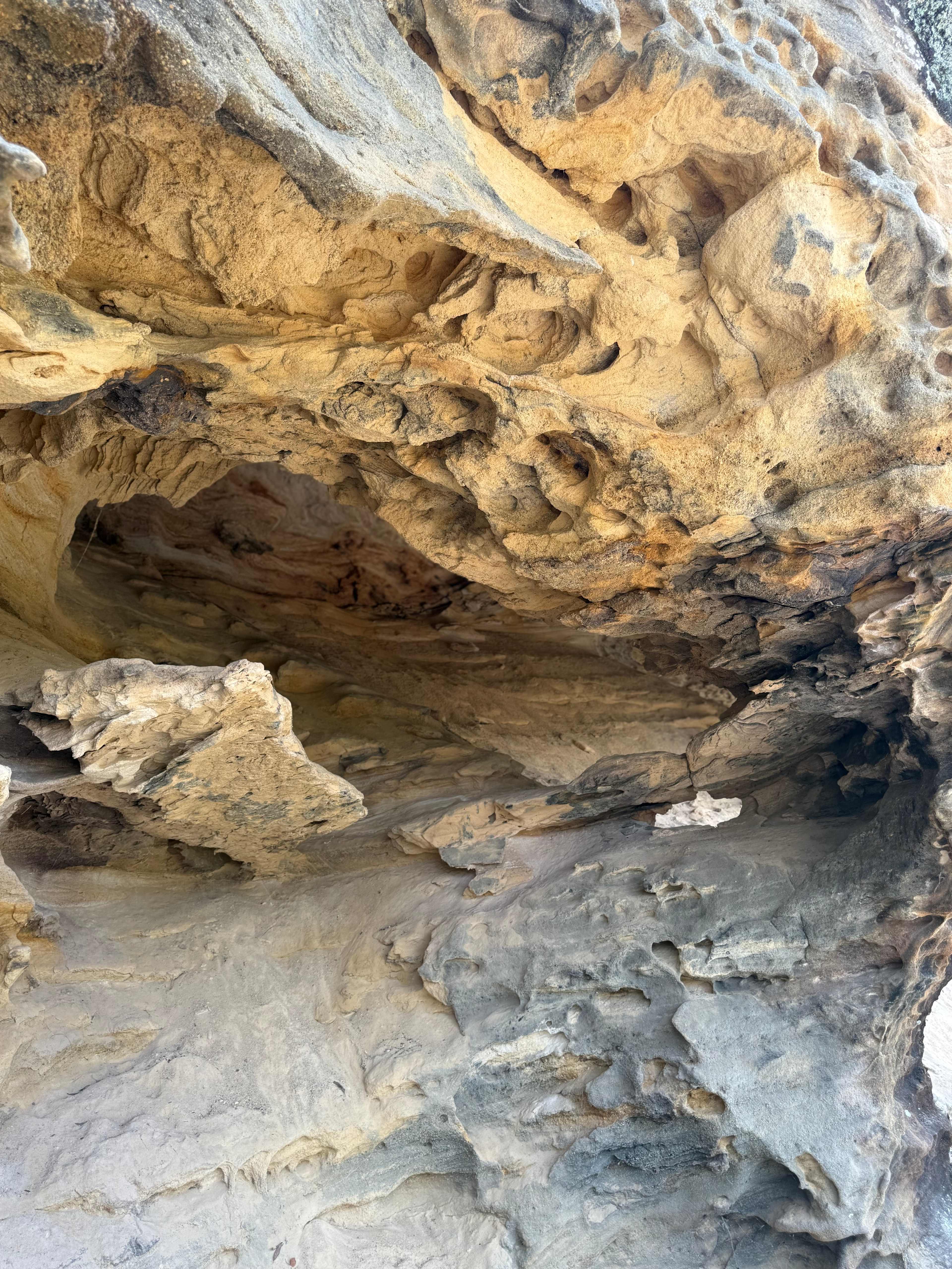 Hillside Camp on Bow River