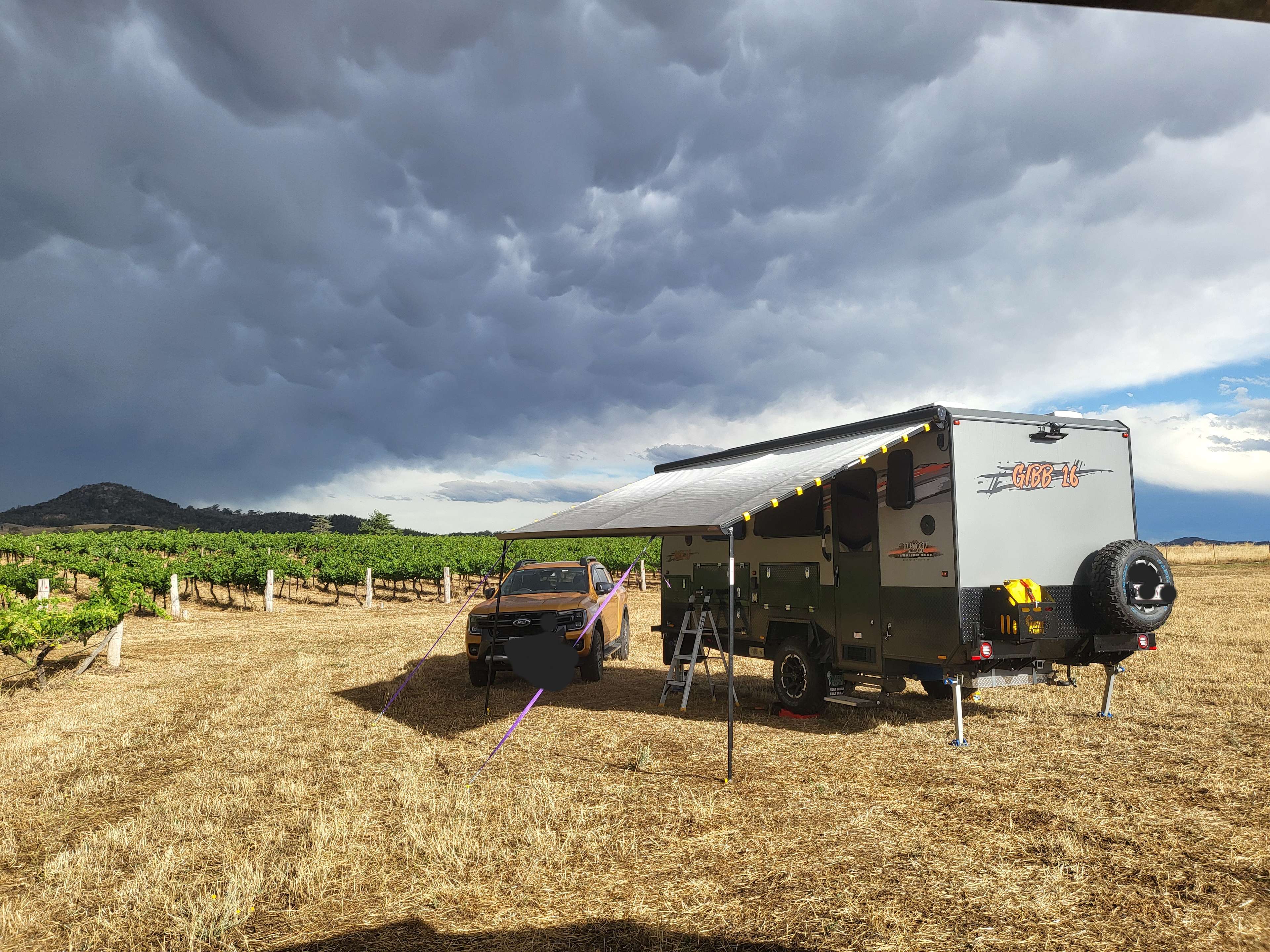Vans in the Vines Mudgee