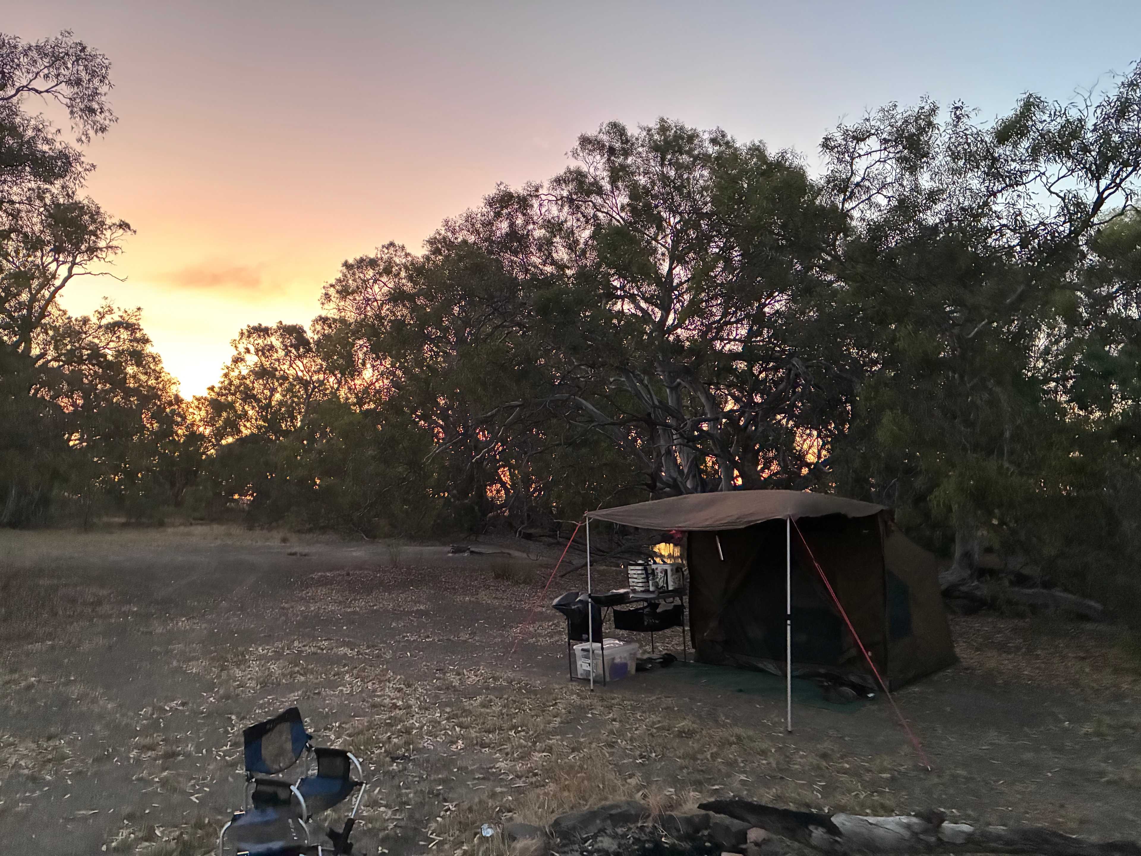 Babbler's Haven   Canary Island
