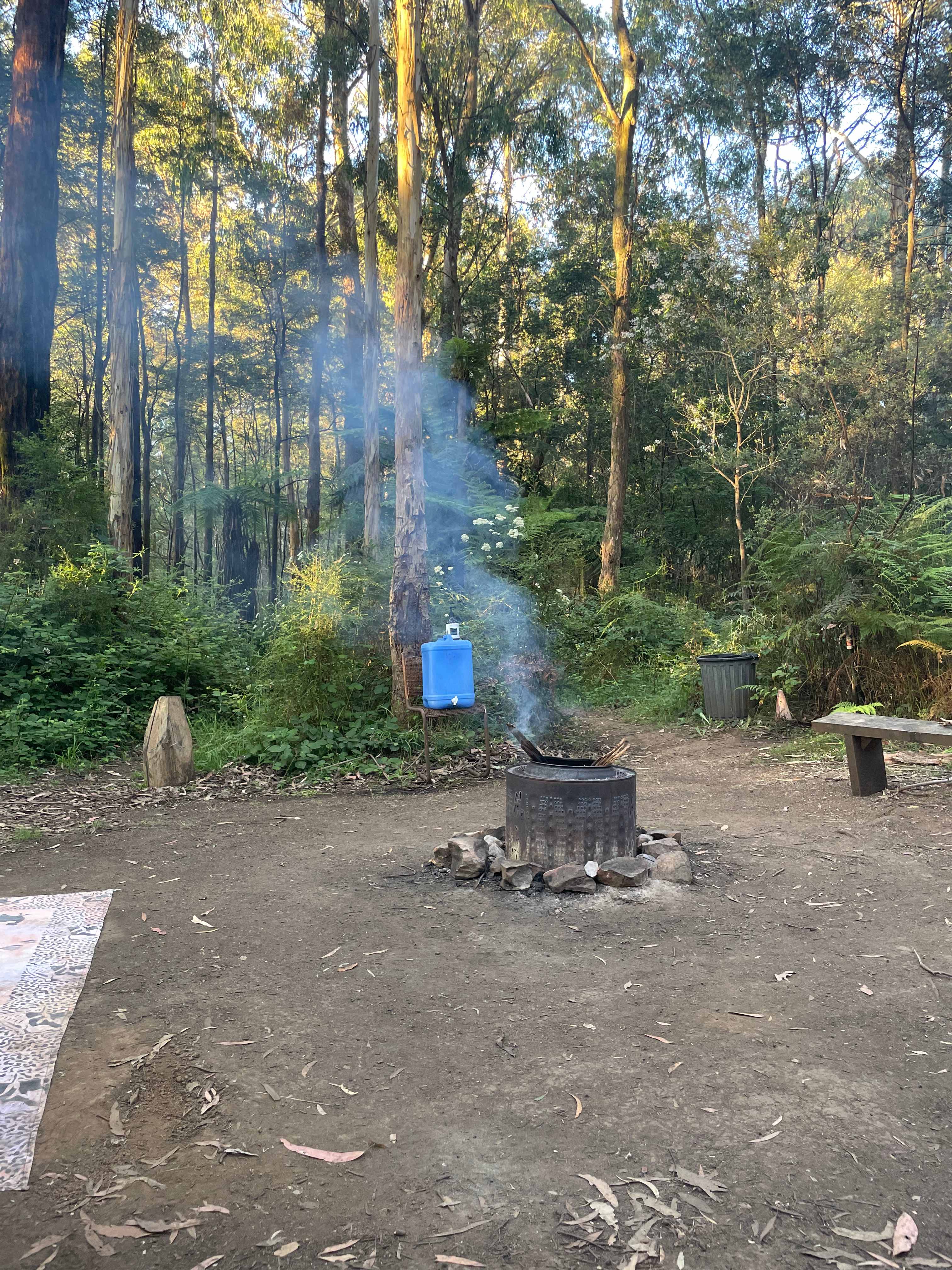 Toolangi Springwater Forest Camp