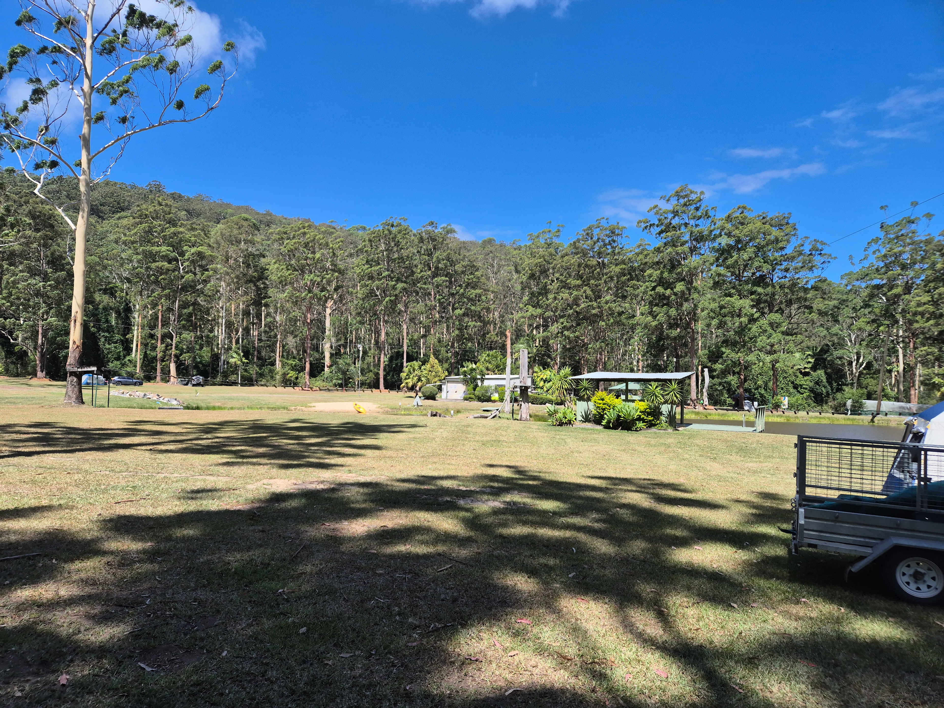 Delhuntie Park -Edens Canopy-